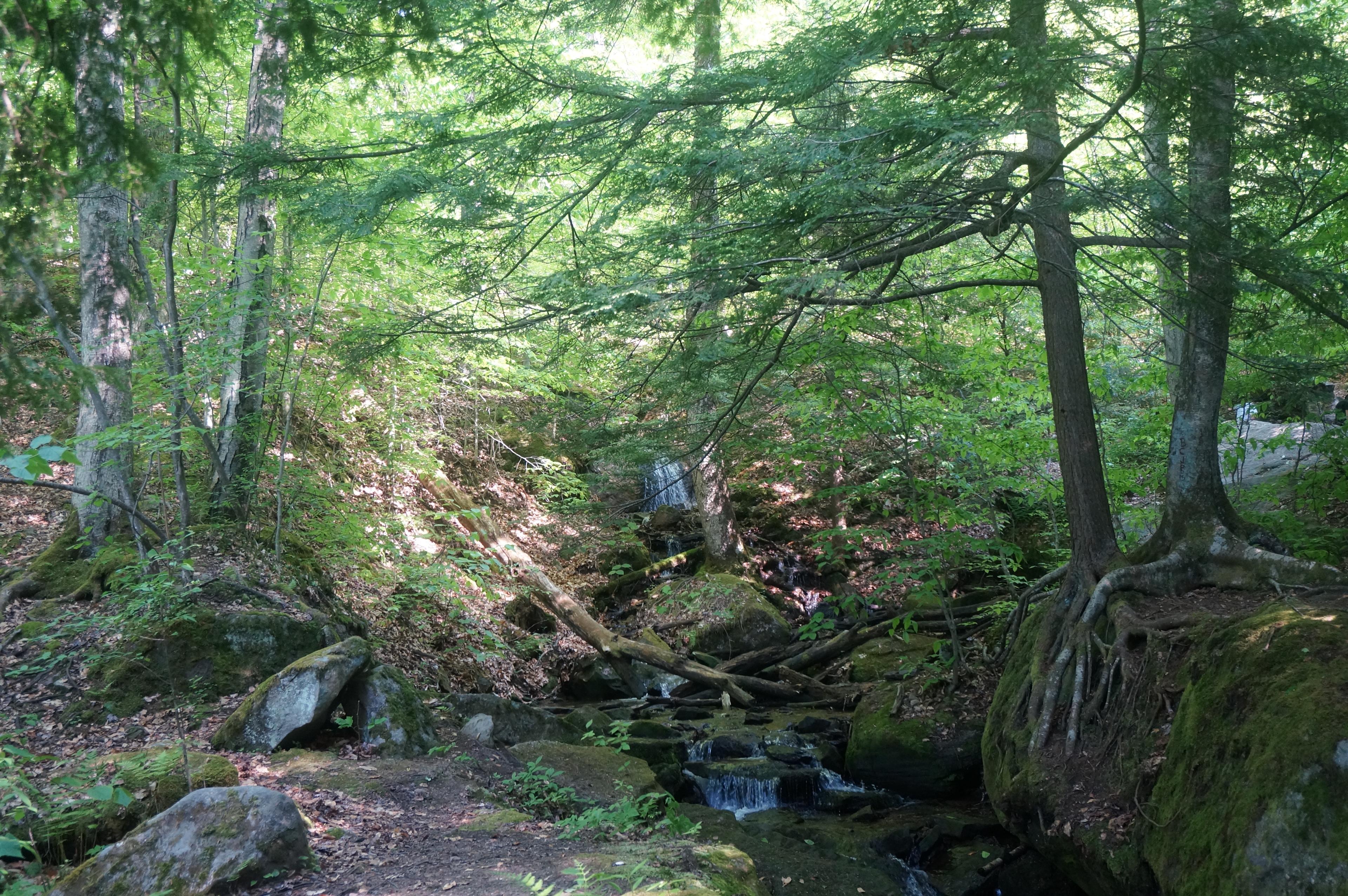 Lots of hikes following streams/tributaries.