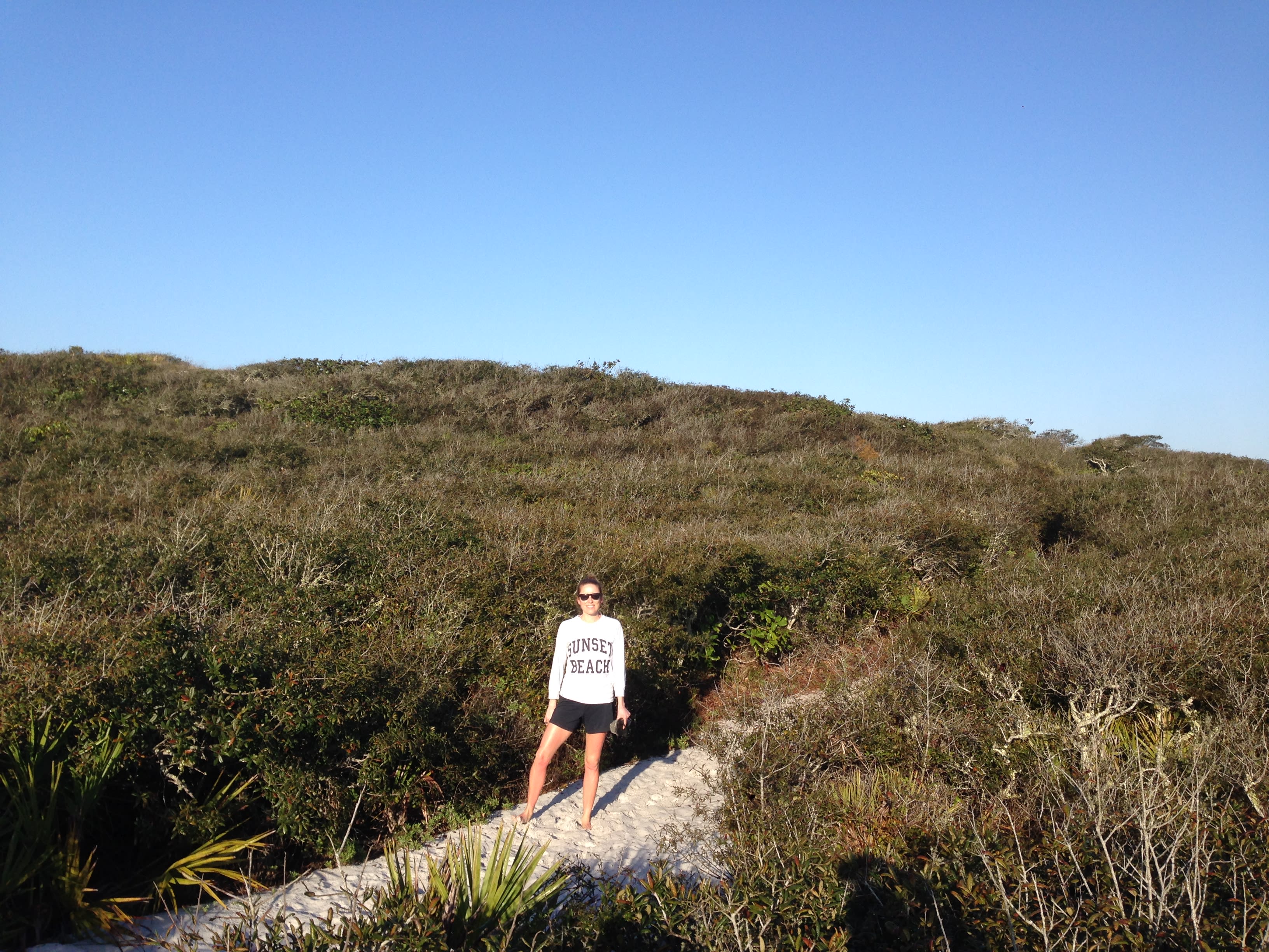 Emerging from the canopy