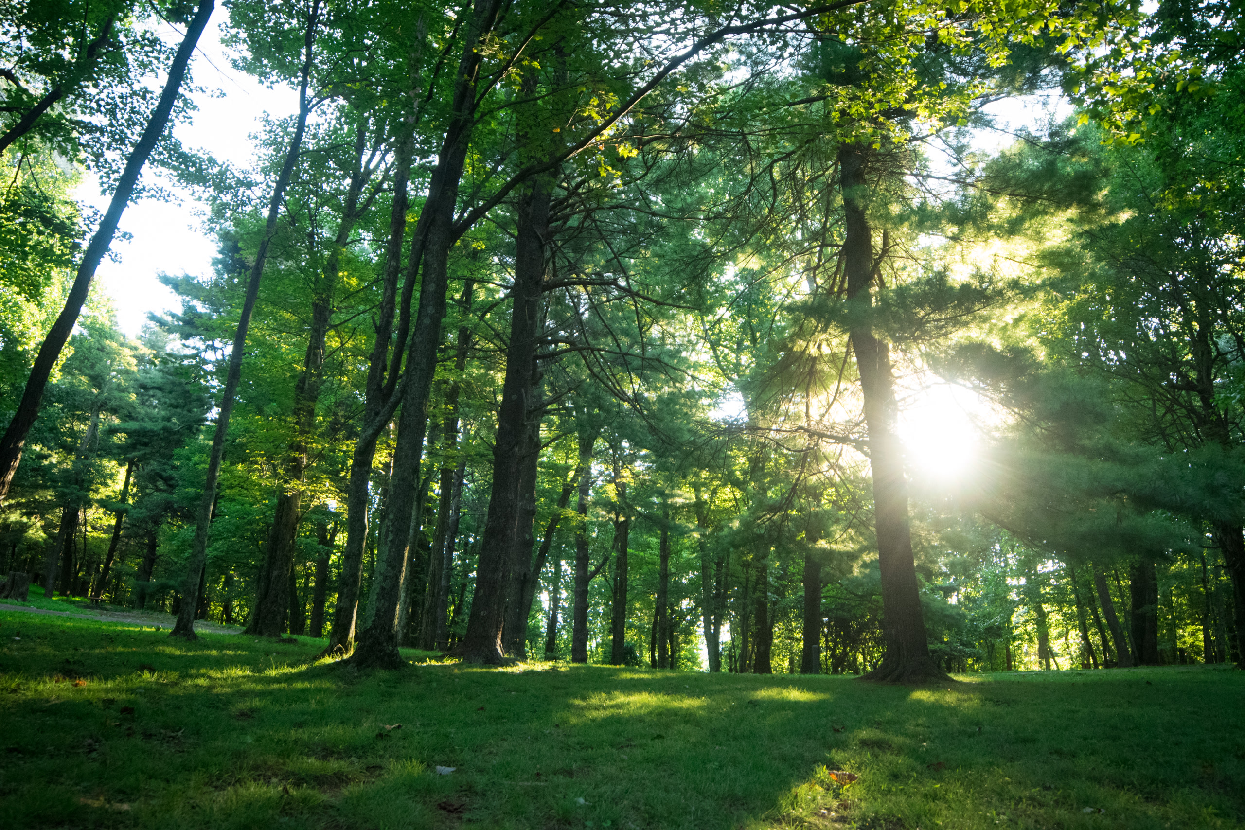 A gorgeous morning sunrise from my campsite. 