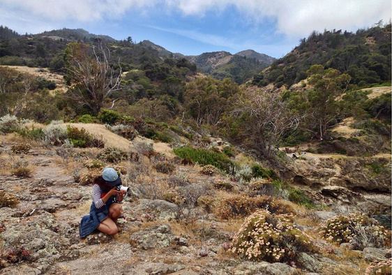 Taking some photographs ... this was actually on the Del Norte campground side of the island. 