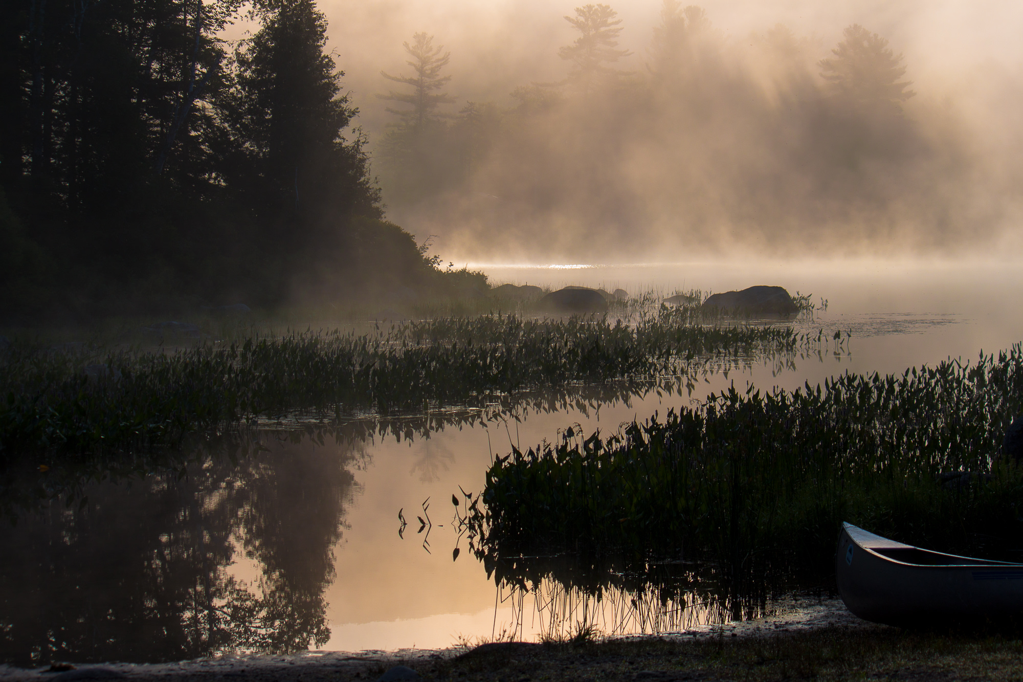 Early morning paddle.