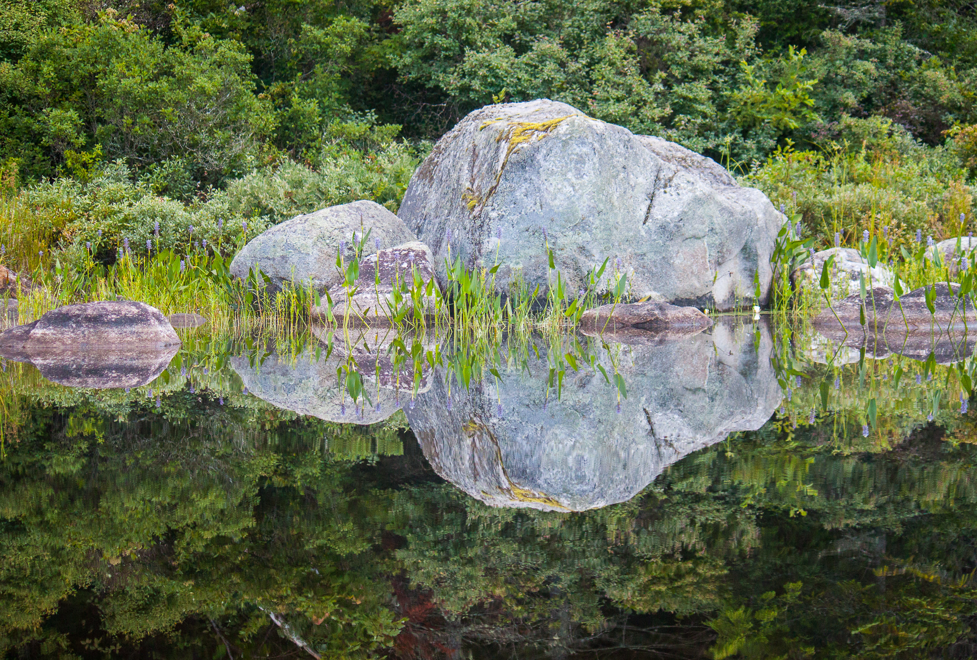 Ricker Pond Campground