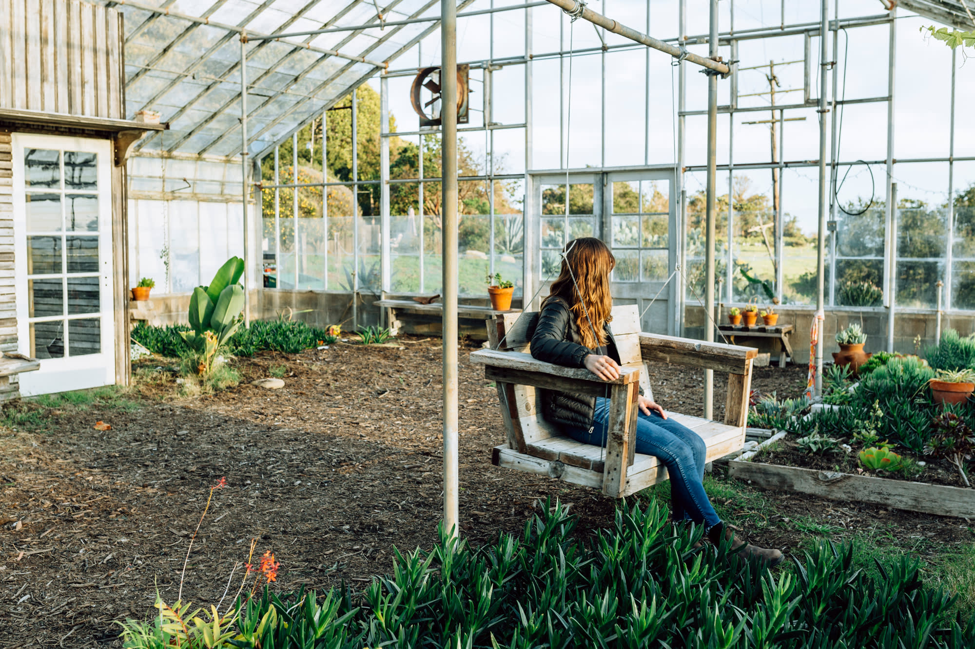 Last light in the greenhouse.