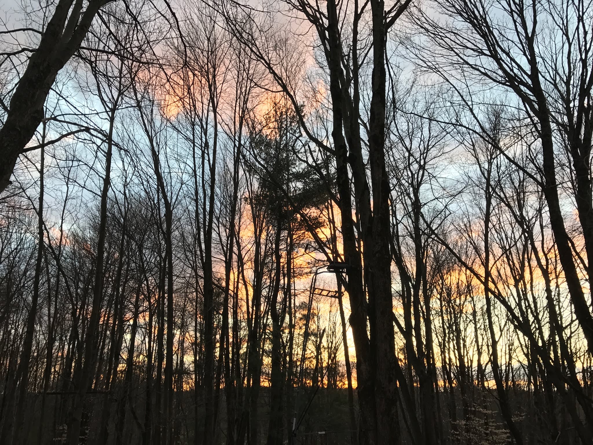 Sanctuary InTheWoods Tent/Yurt Camp