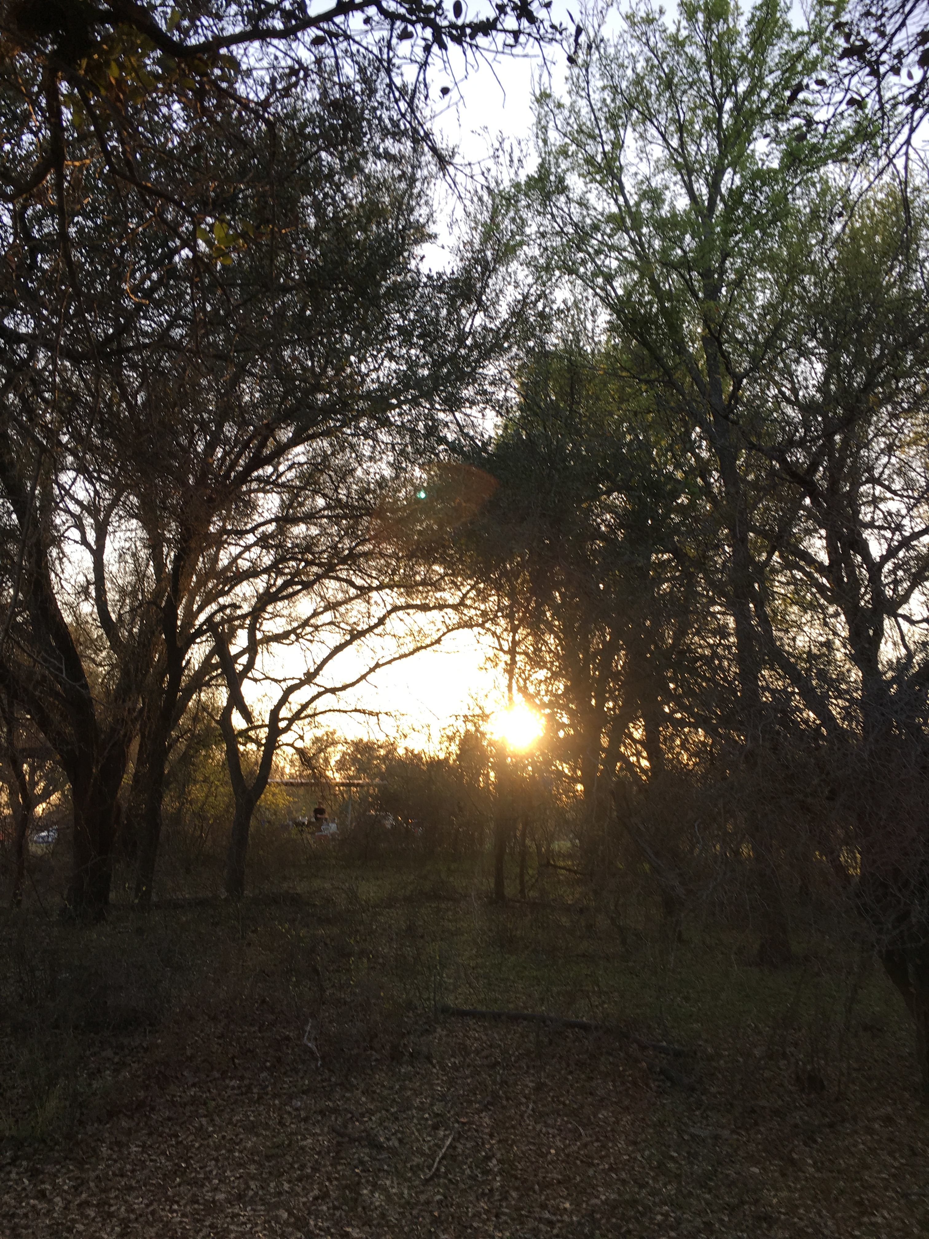 Star View Campground