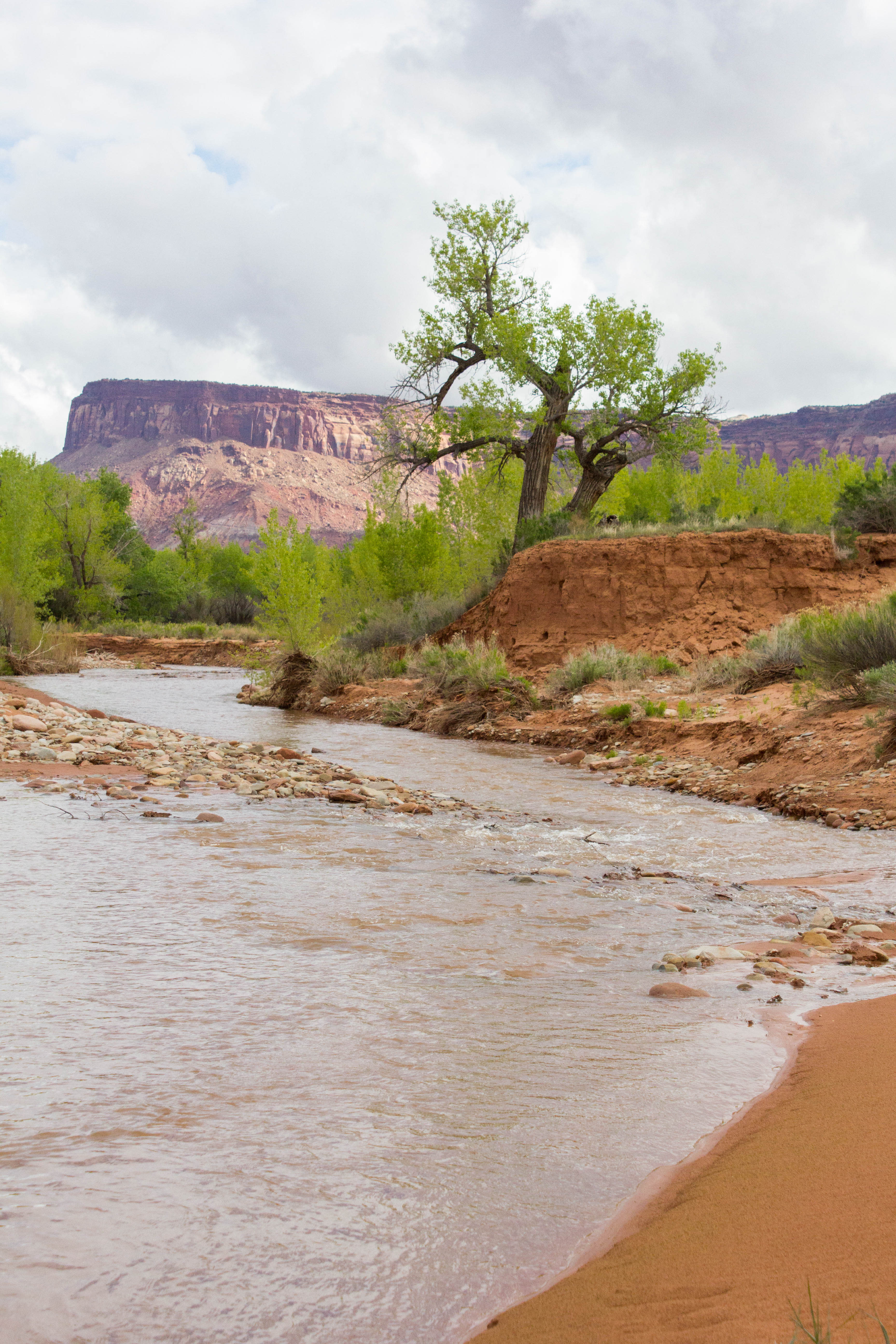 There's also a small river right around the campgrounds. It was approximately 100 ft from our campsite. A nice way to cool off with the Utah heat. 