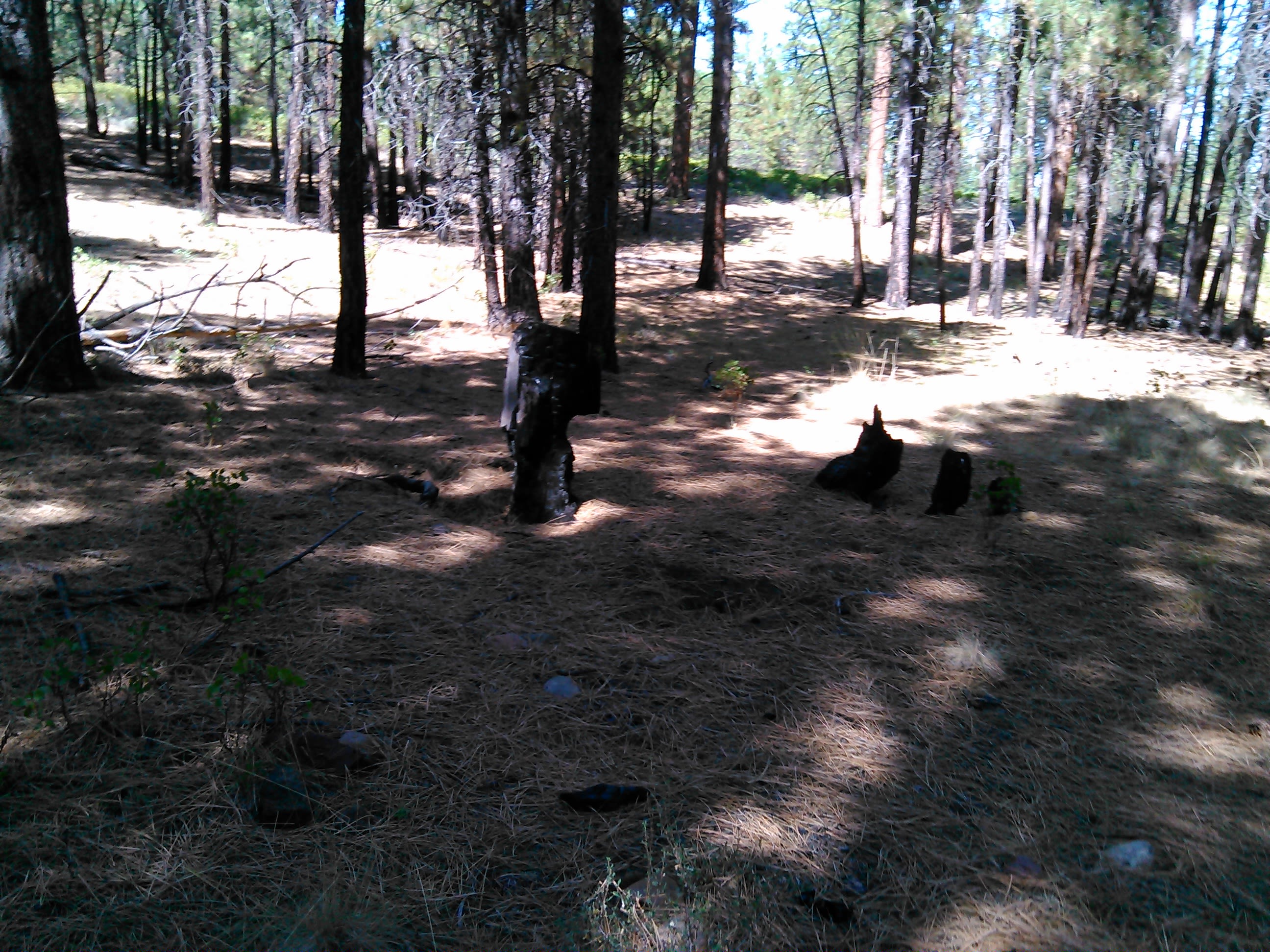 Cold Spring Campground