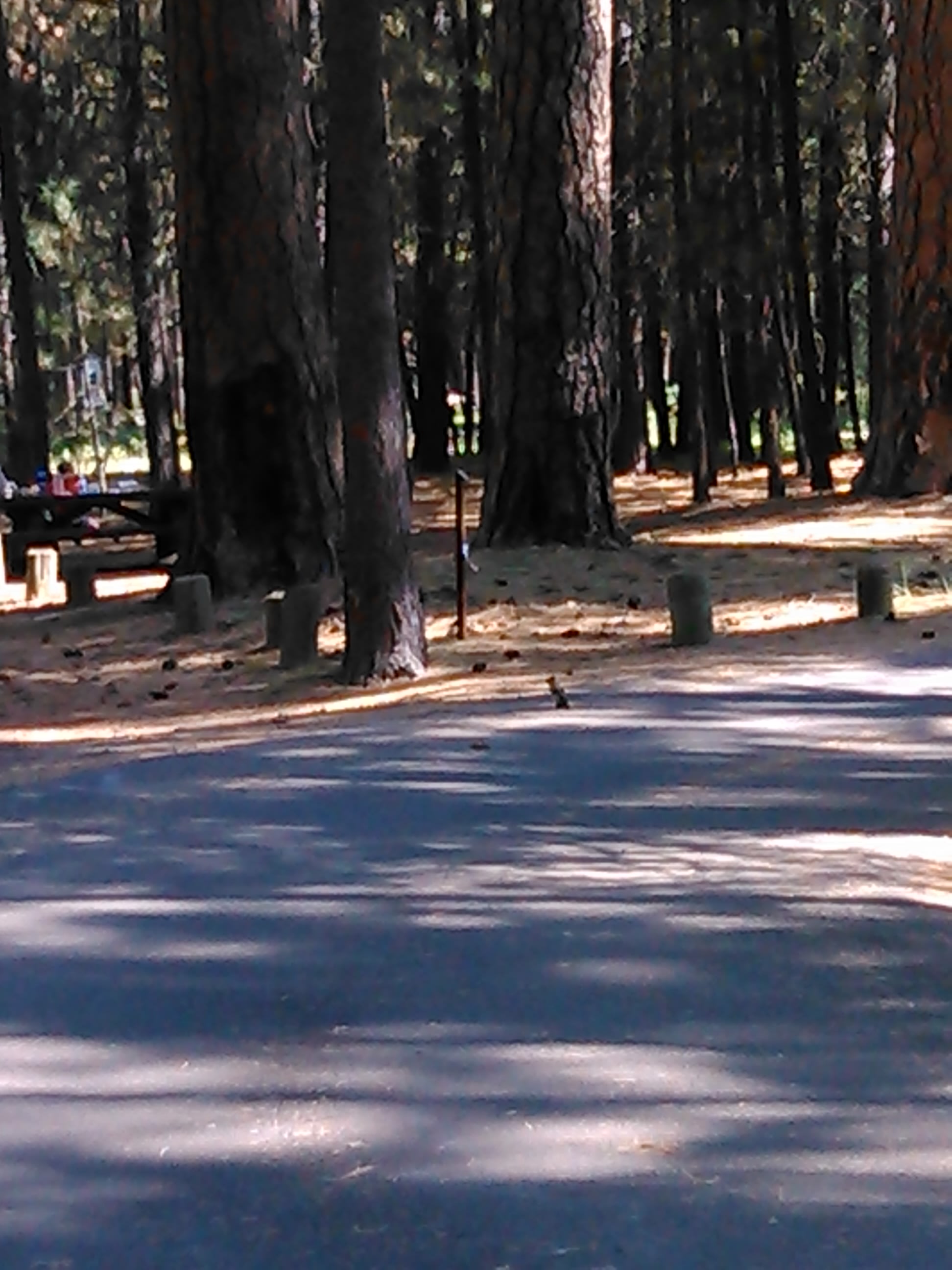 Cold Spring Campground