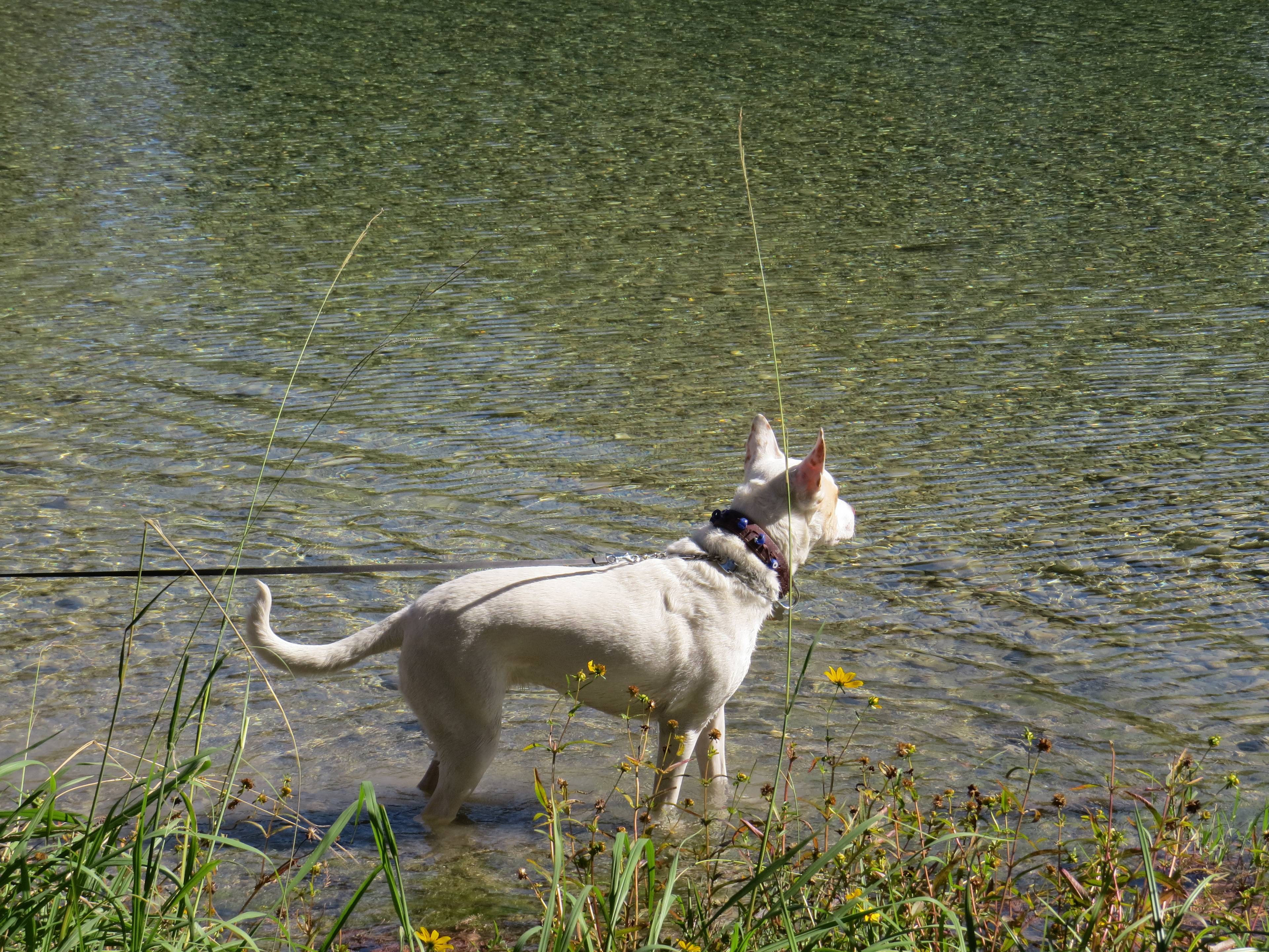 Shady Meadows Campground