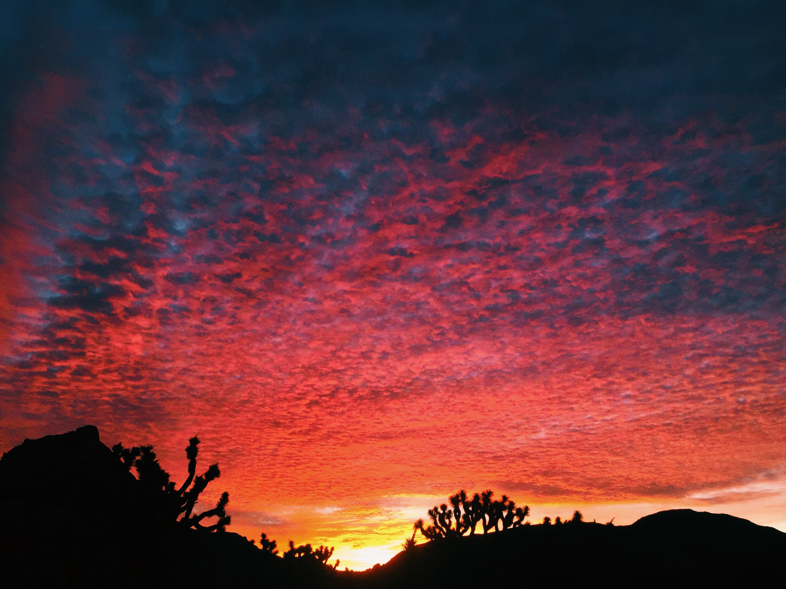 The sunrises are the most amazing I've ever seen. 