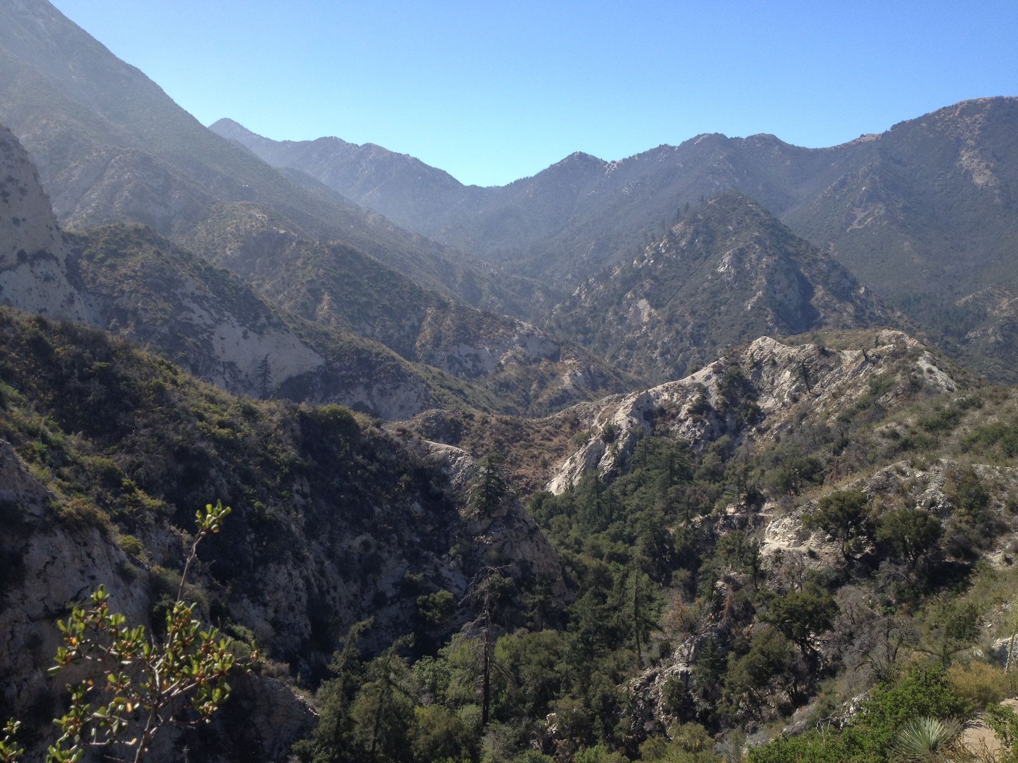 Bear Canyon Trail Camp
