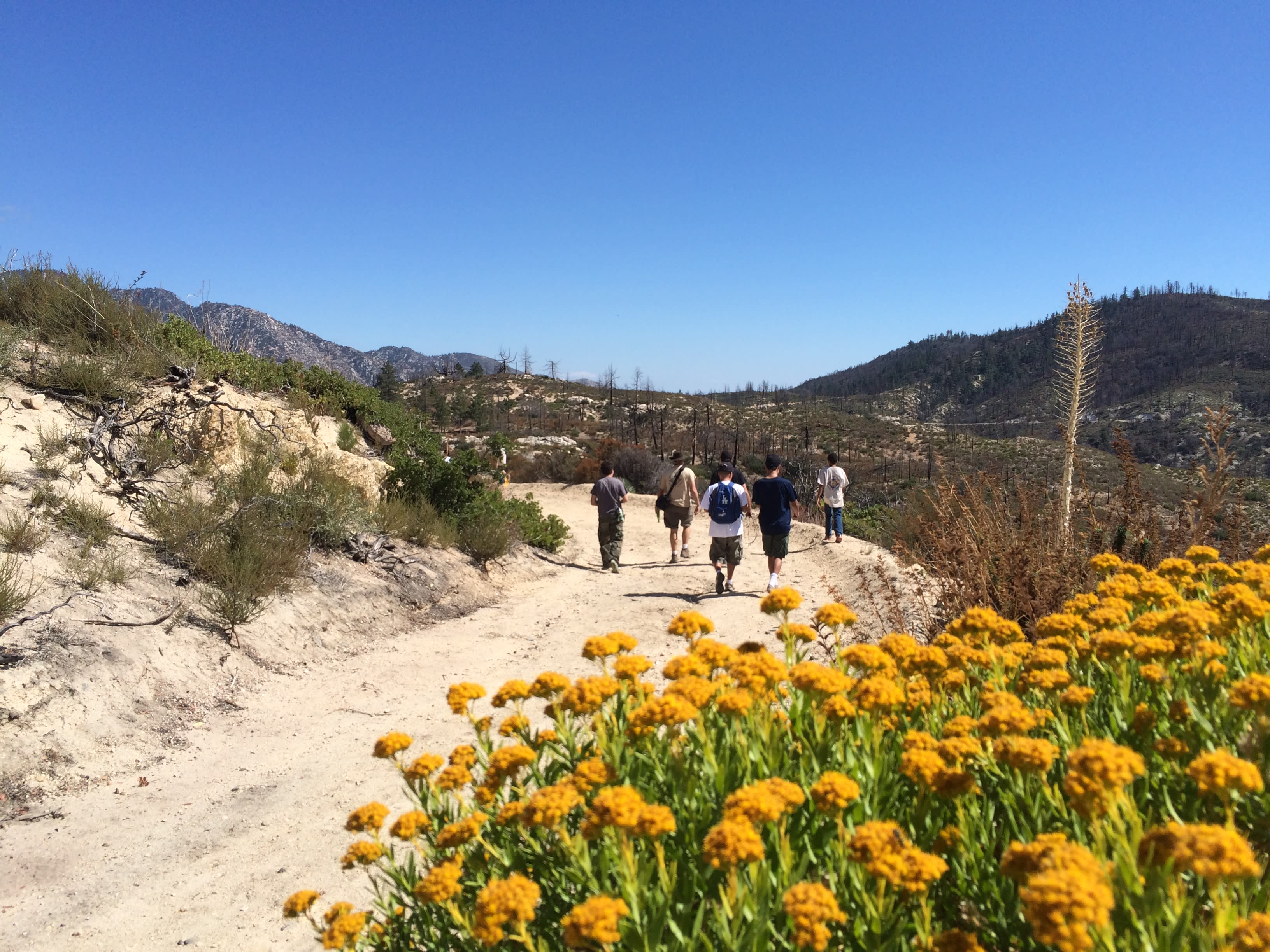 Coulter Group Campground