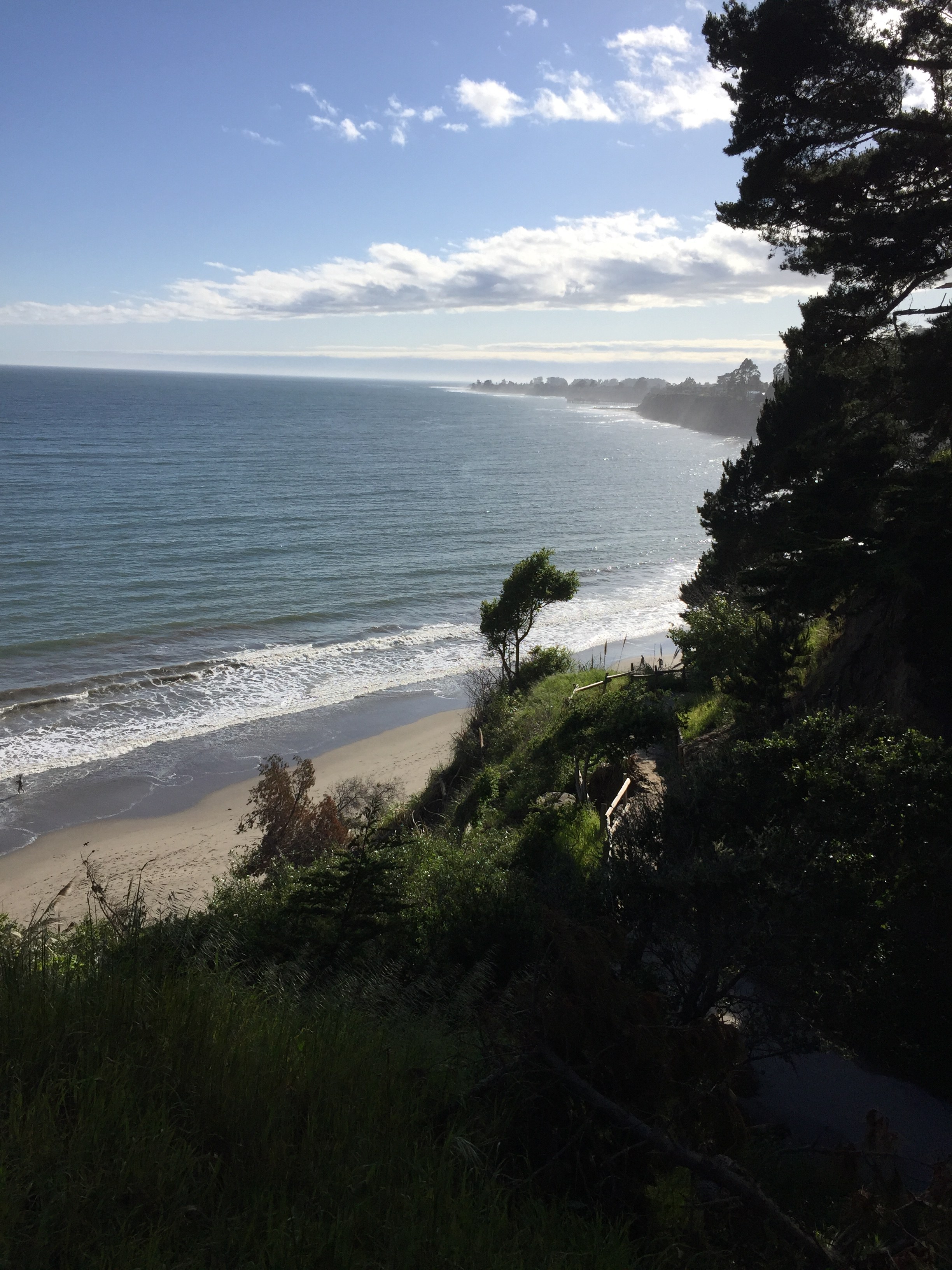 New Brighton State Beach