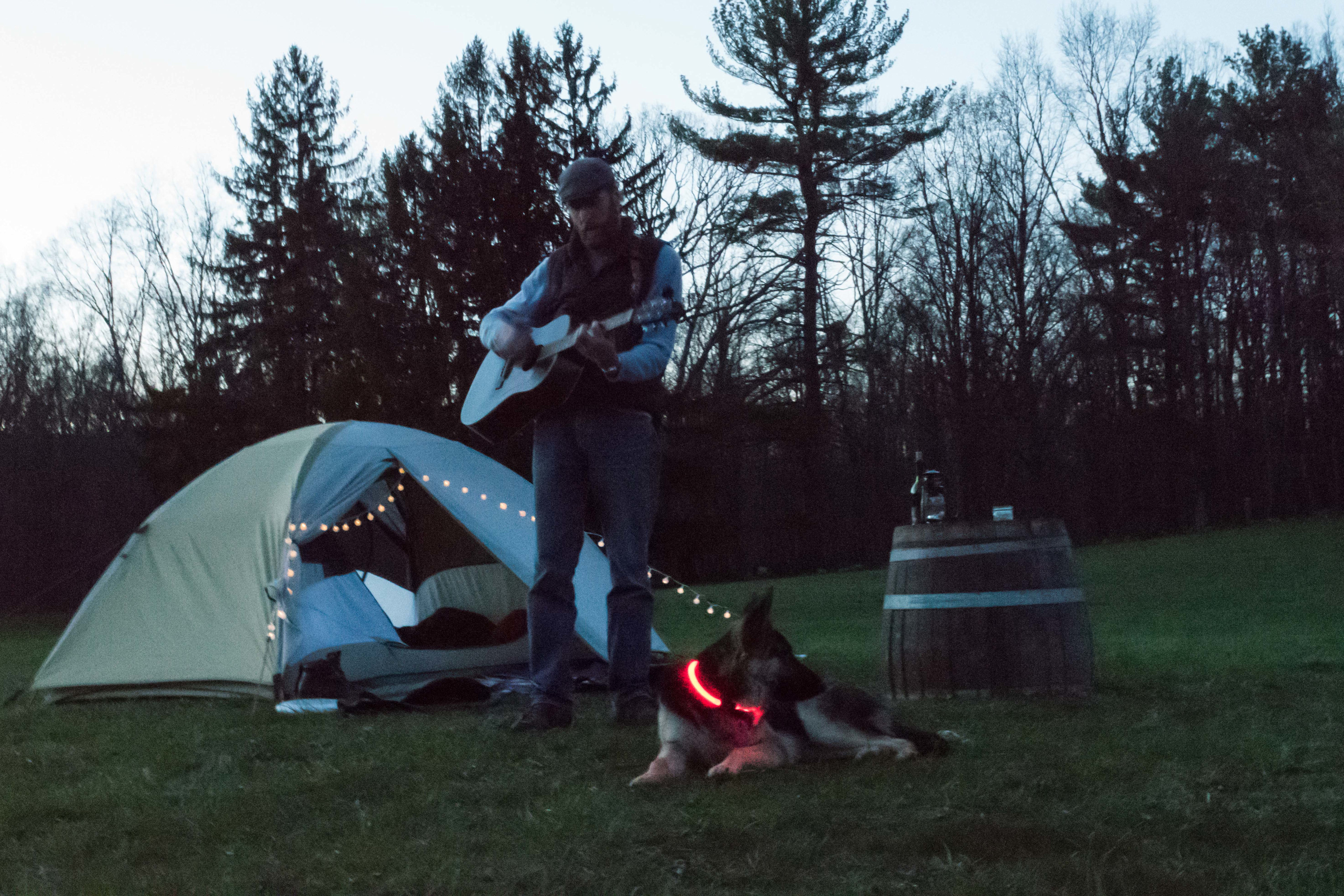 A little dog-supervised night music. 
