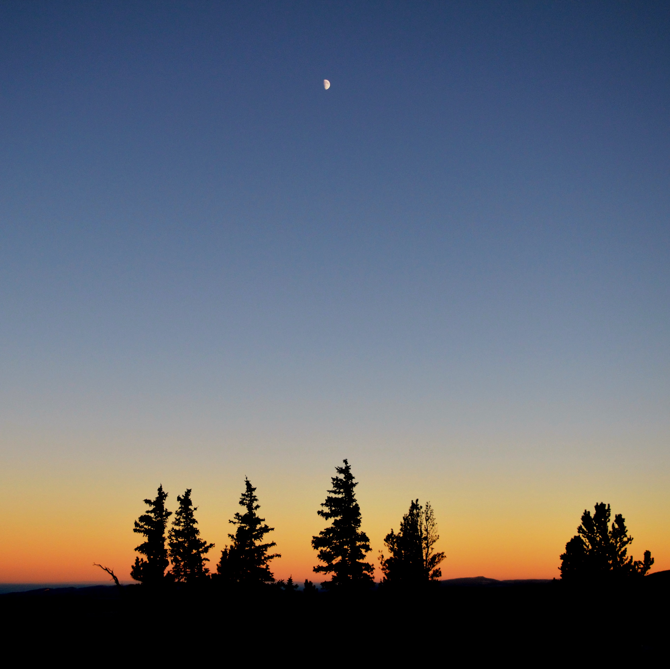Sunset atop Sheep Mountain,.