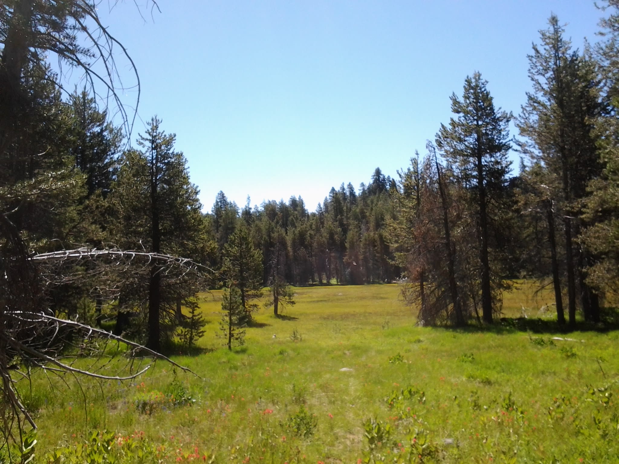 McGurk Meadow hike