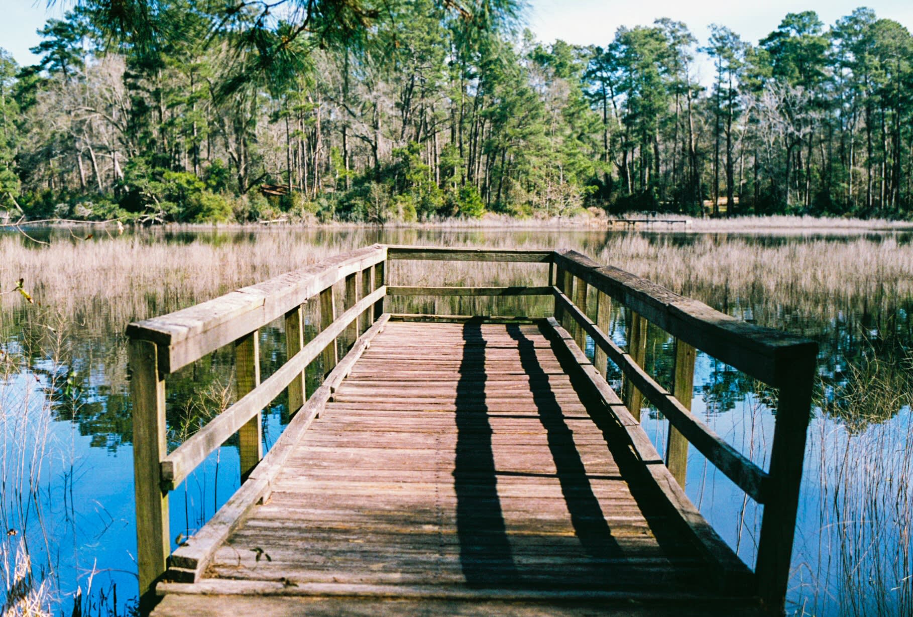 Sam Houston Jones Campground