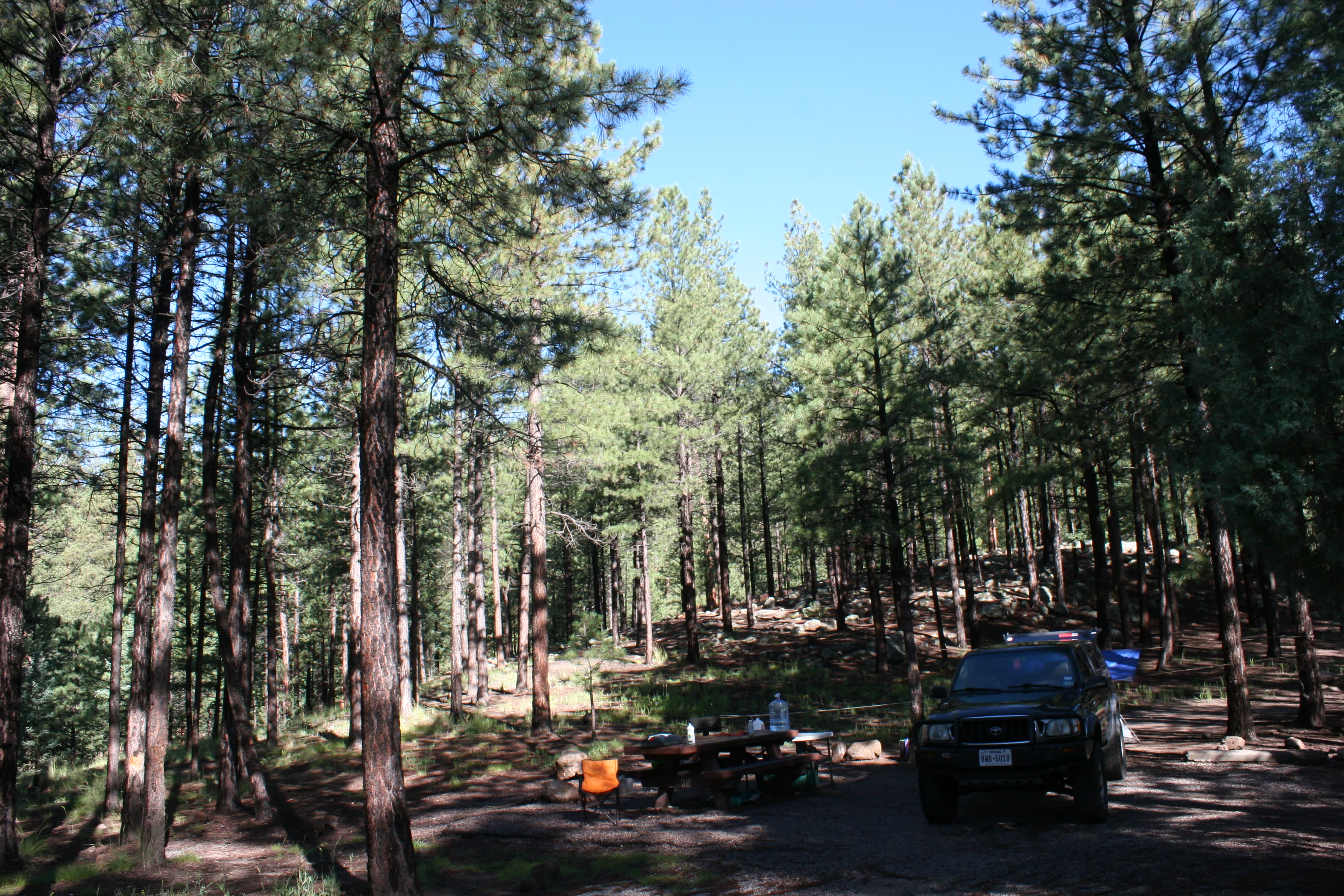 We loved being in the trees-it helped with rigging a tarp over our tent too.  Major thunderstorms during the night!