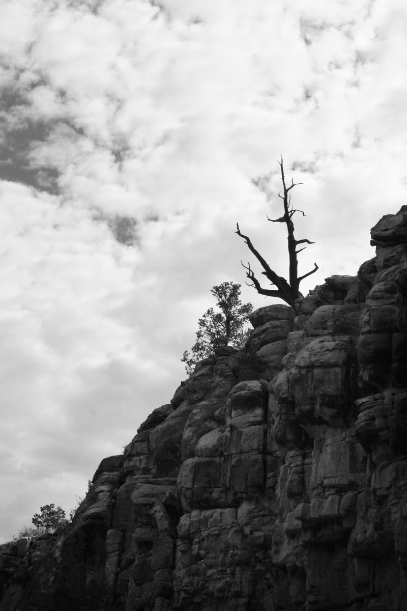 View from the trail in the canyon looking up.