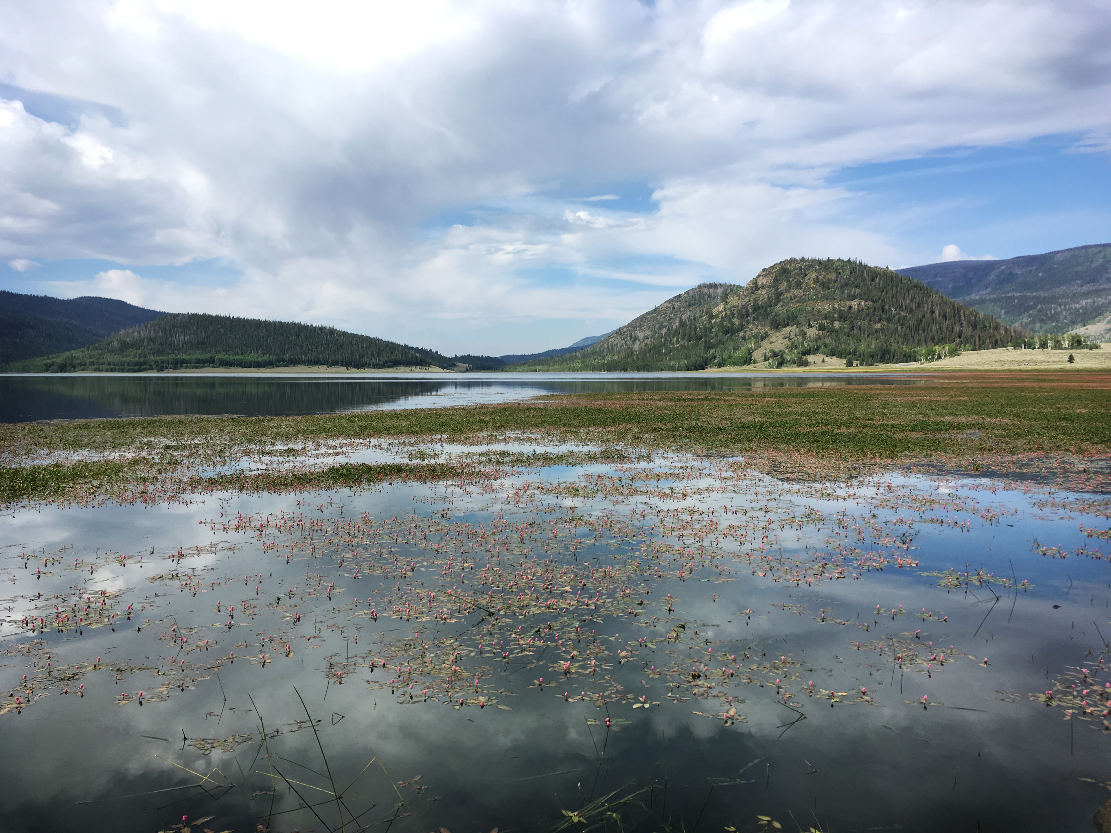 The east side of the lake