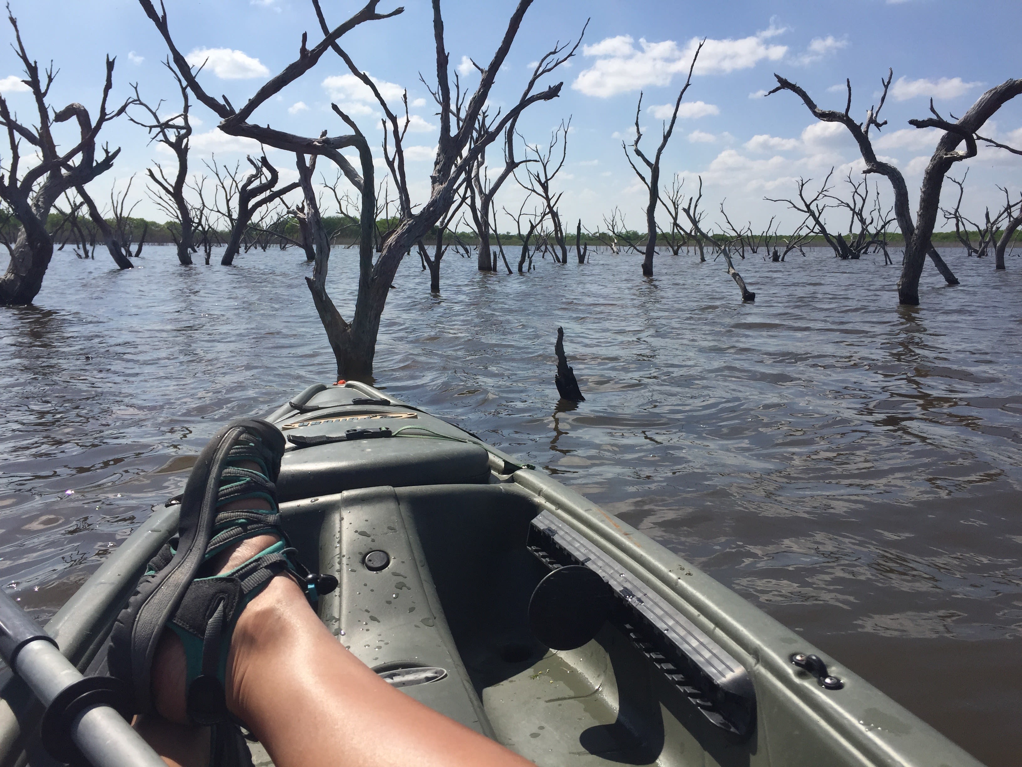 Waiting for the fish to bite... 