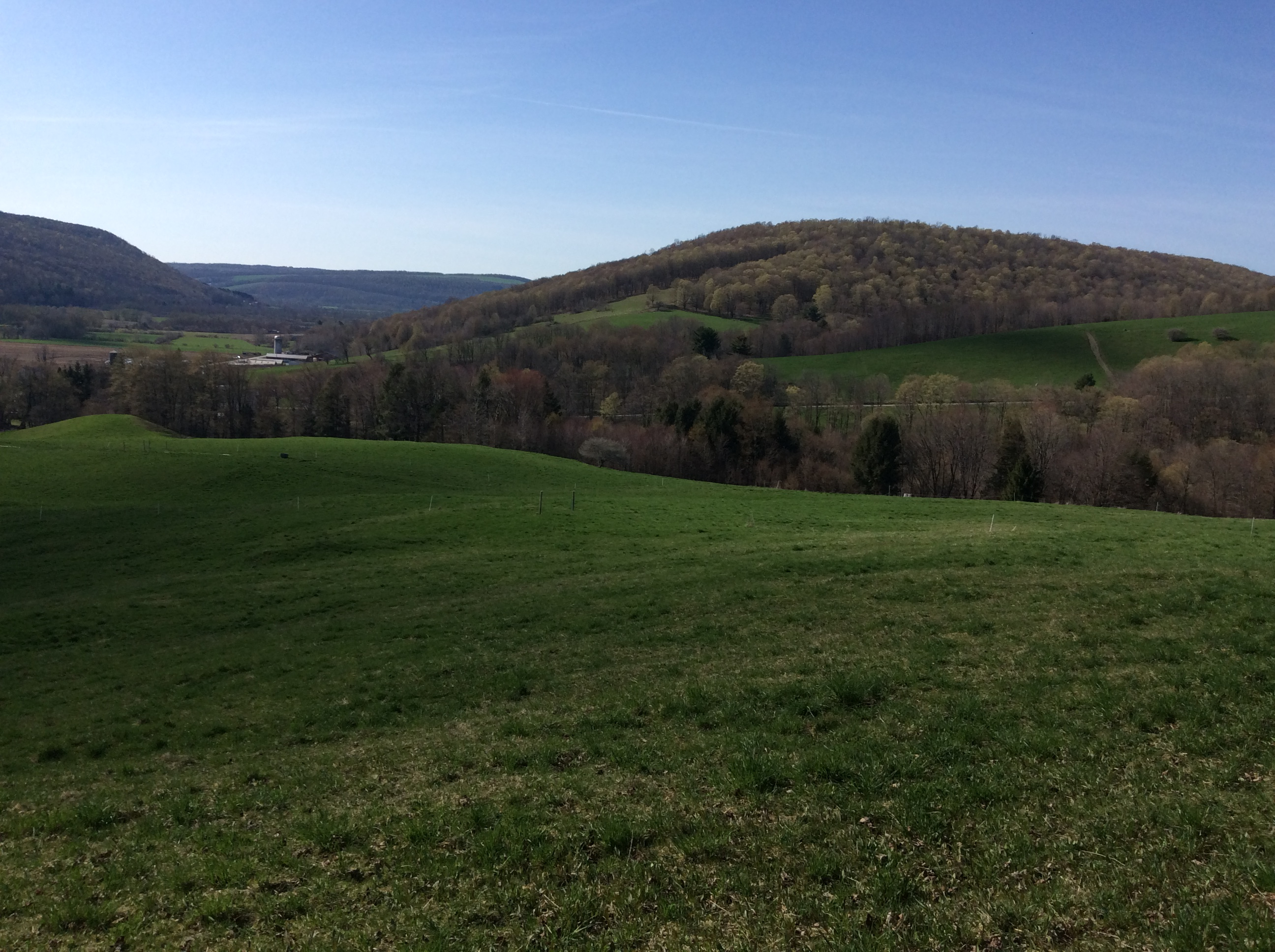 Camp here and feel like your at the top of the world or atleast the meadow.