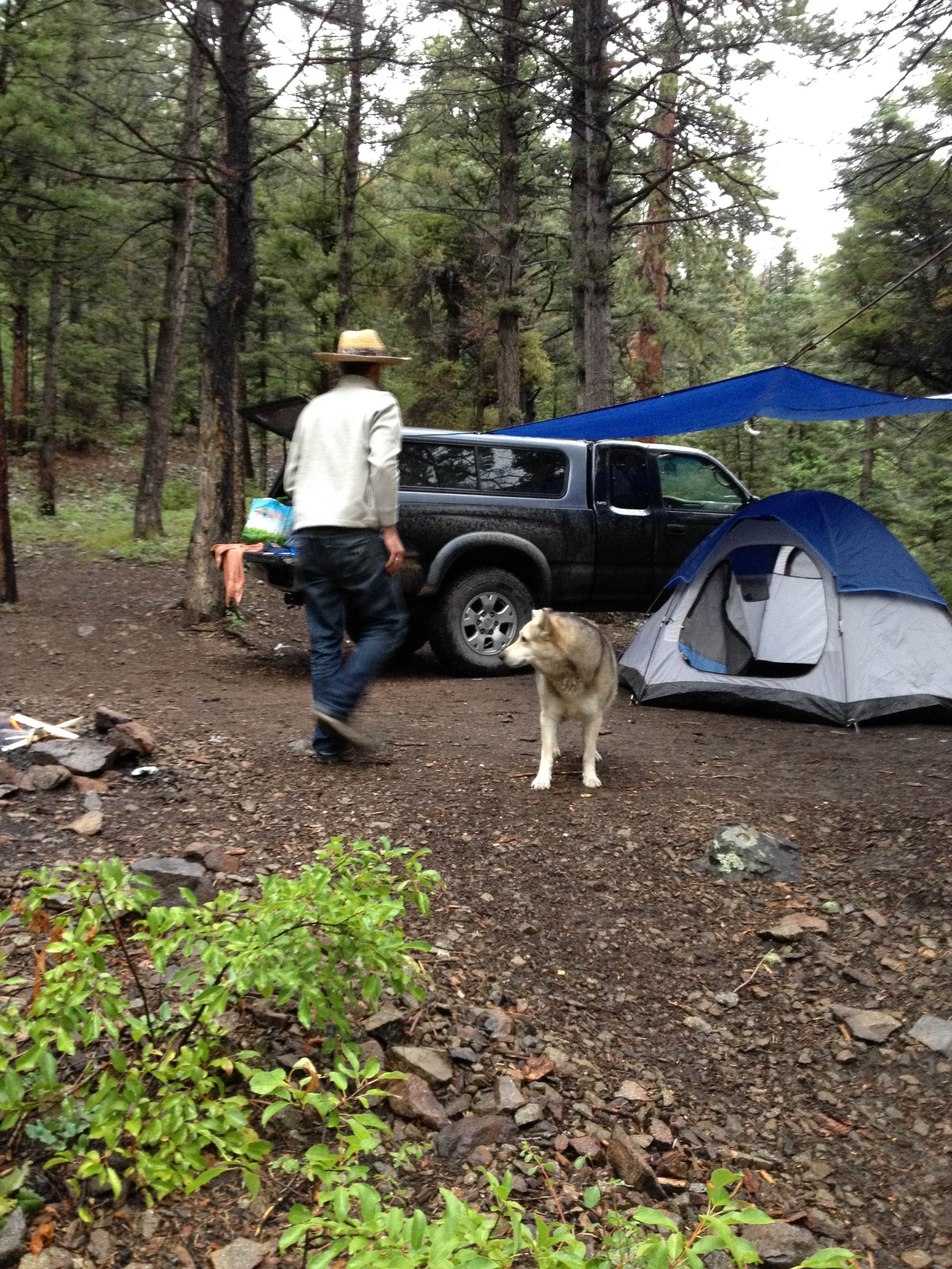 It rained a lot-pretty much the whole night.