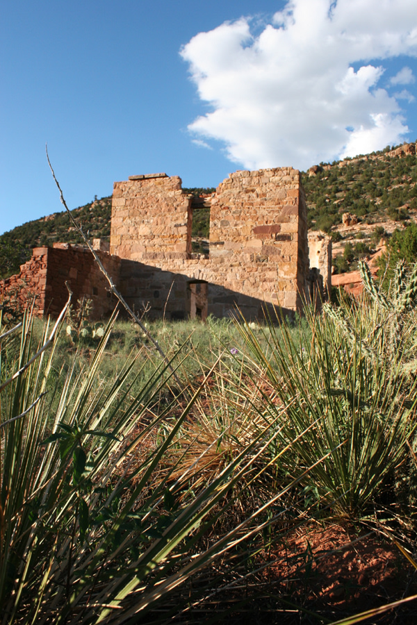 Fun things to photograph here.