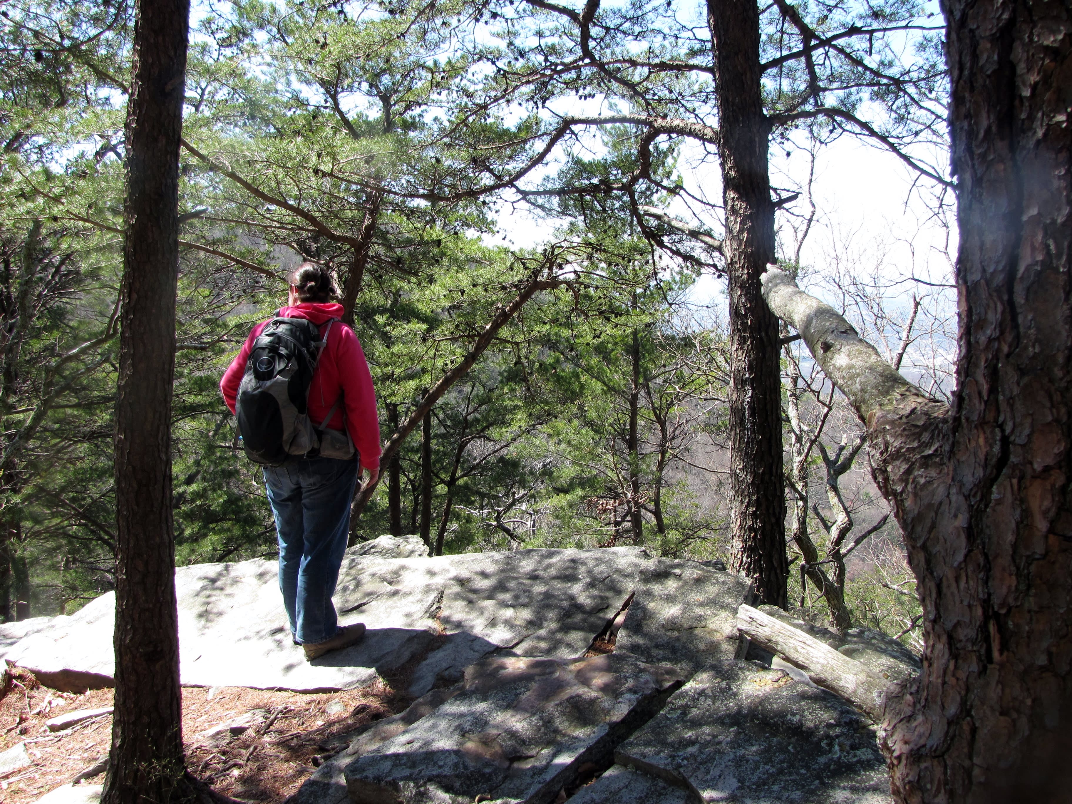 the overlooks are breathtaking in winter, spring and fall. Too tree-dense on the Gahuti during the summer