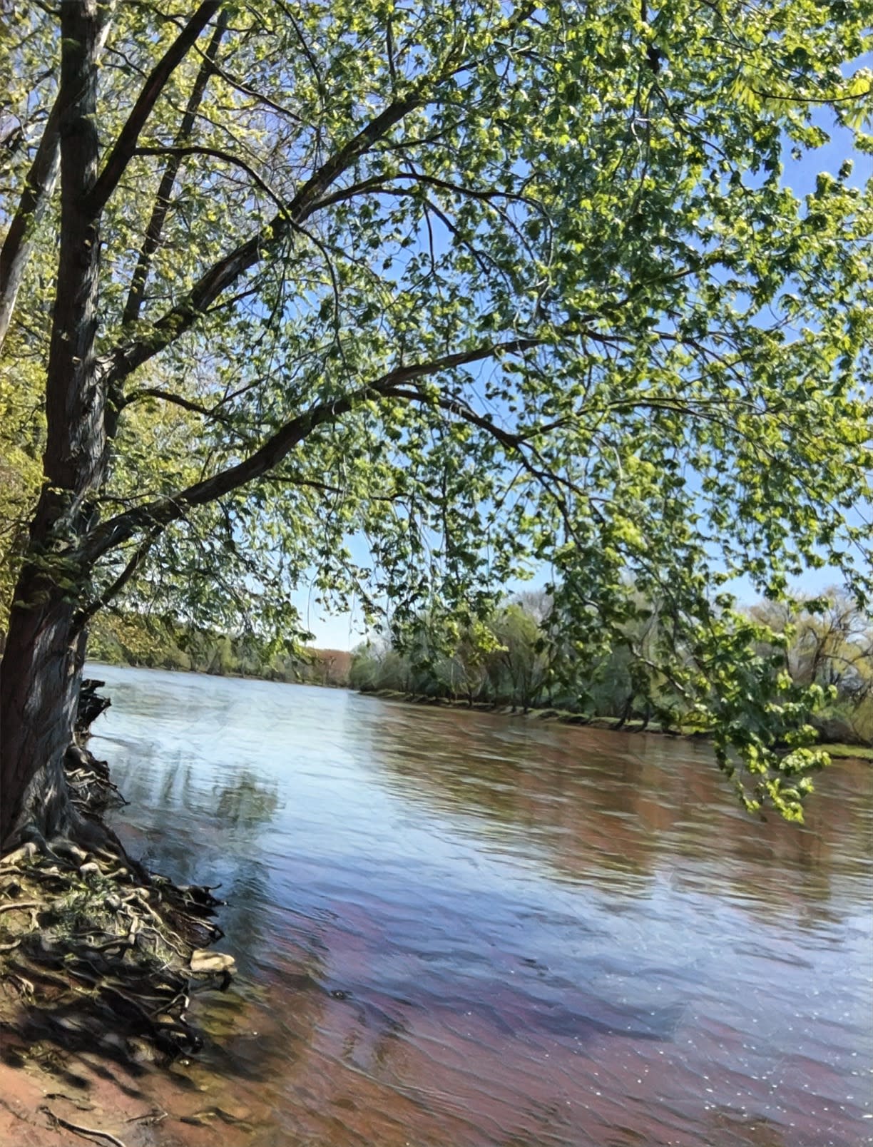 Potawatomi Campground