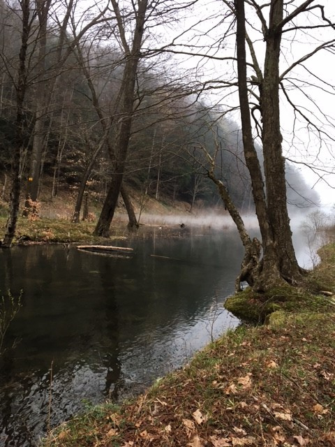 Backcountry camping in late April.  First view from my tent.  Beautiful