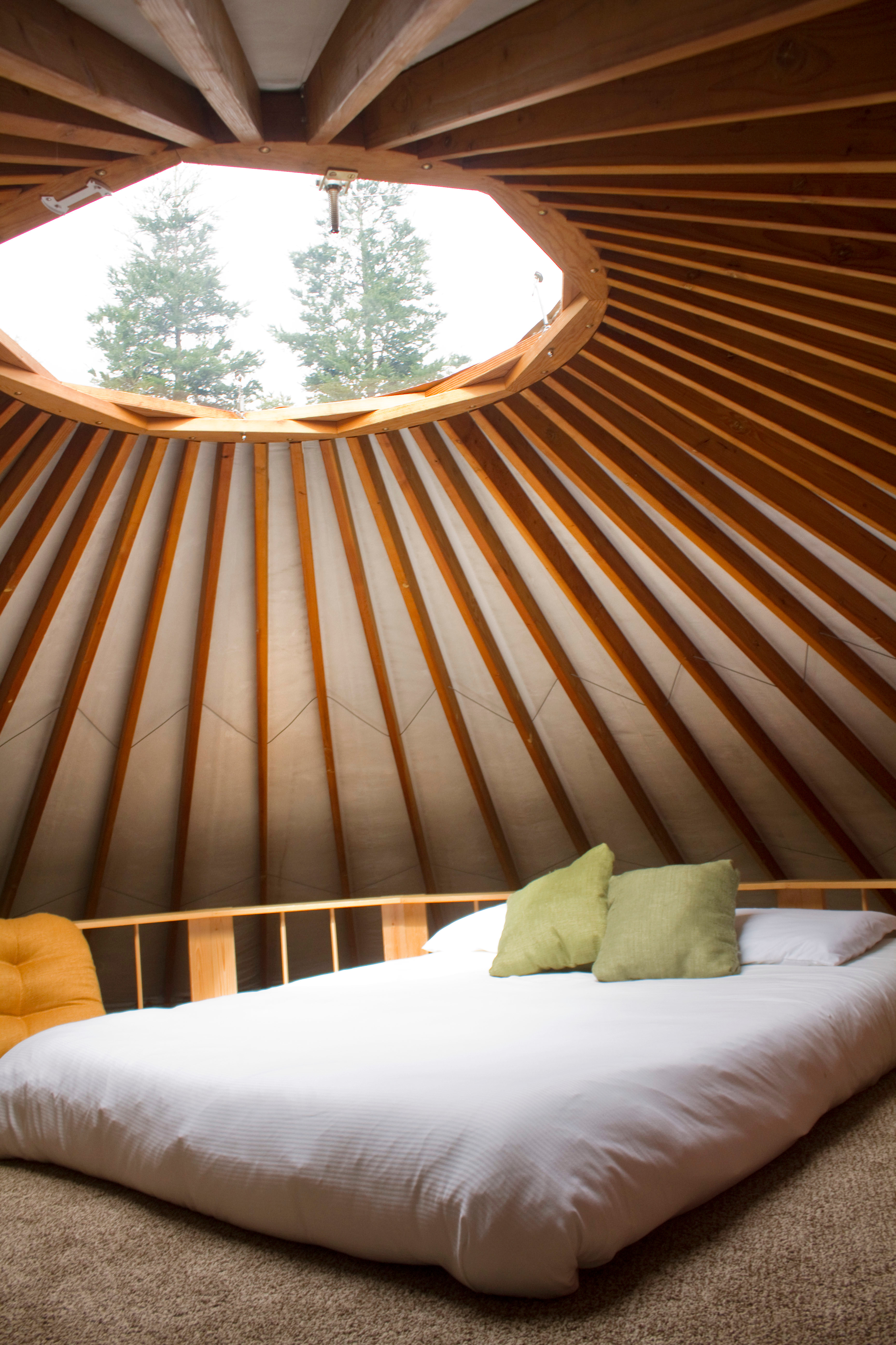 Amazing views of the night time sky on a clear night. The full moon lights up the bed !