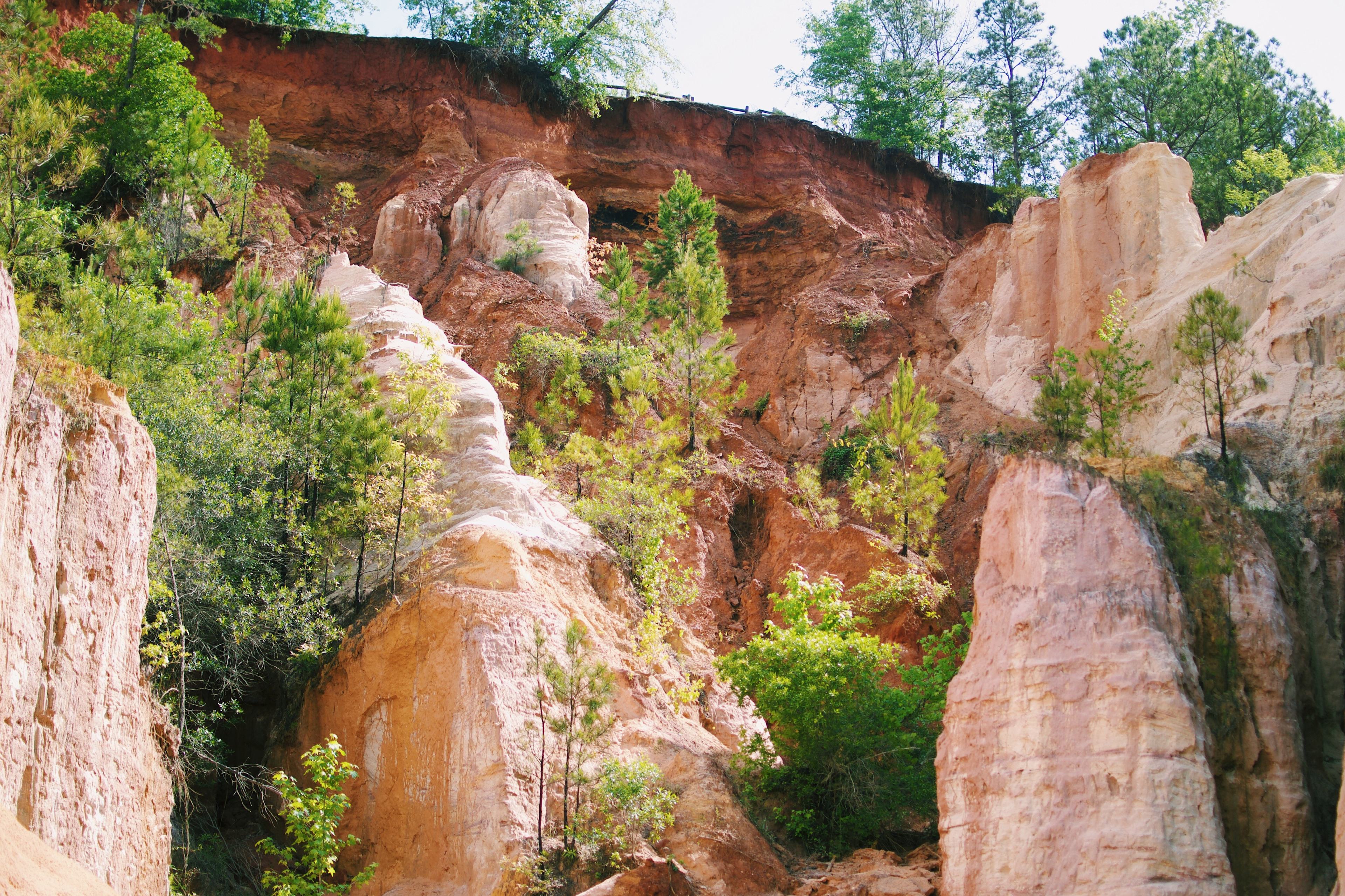 Providence Canyon State Outdoor Recreation Area Campground