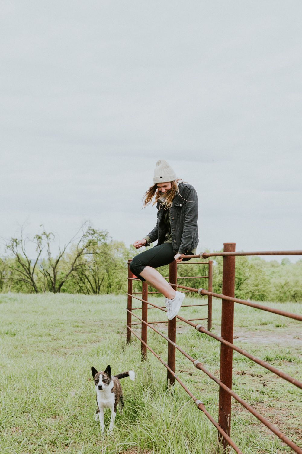 Selby Horse Farm Camping