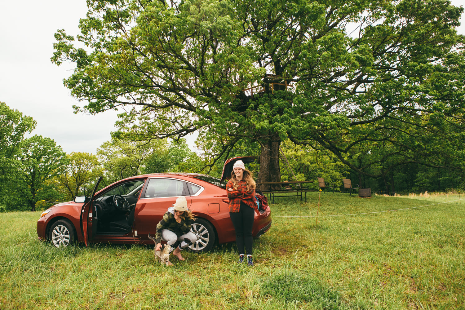 You can drive/park right by the tree and unpack your stuff.