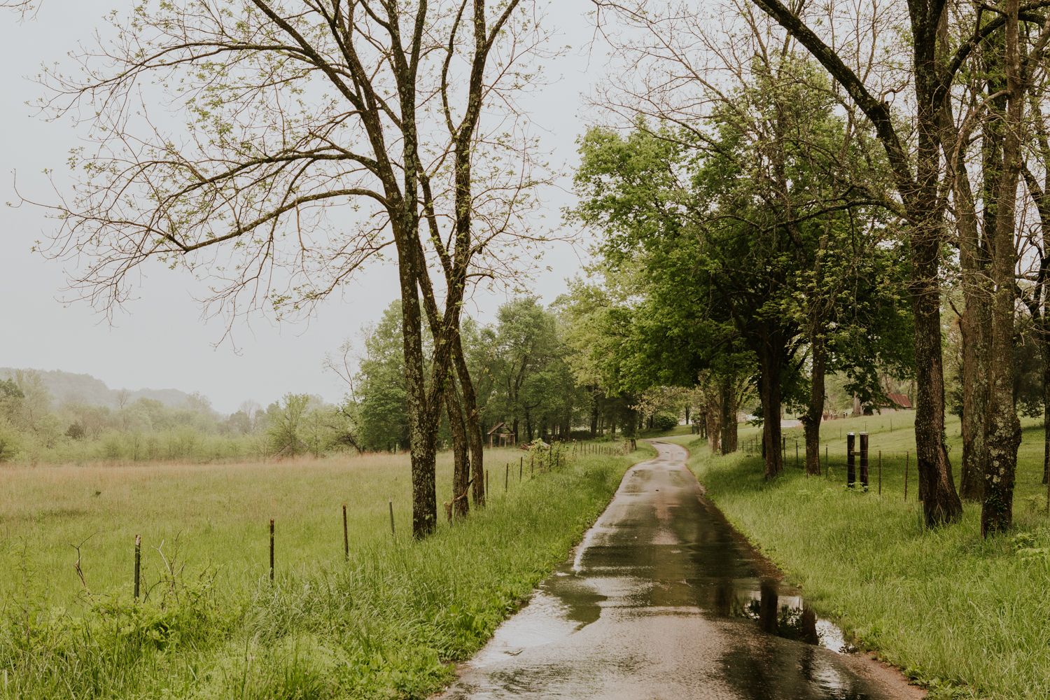 Area driving into Dockley Ranch