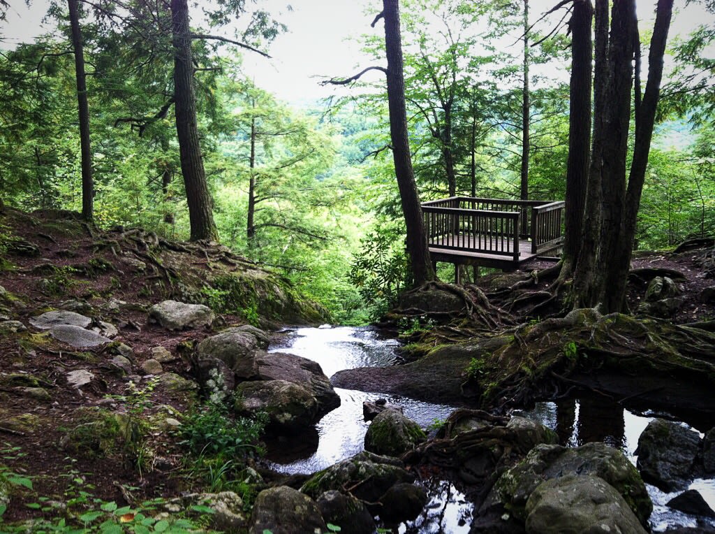 The hiking in the Delaware Water Gap is unbelievable!