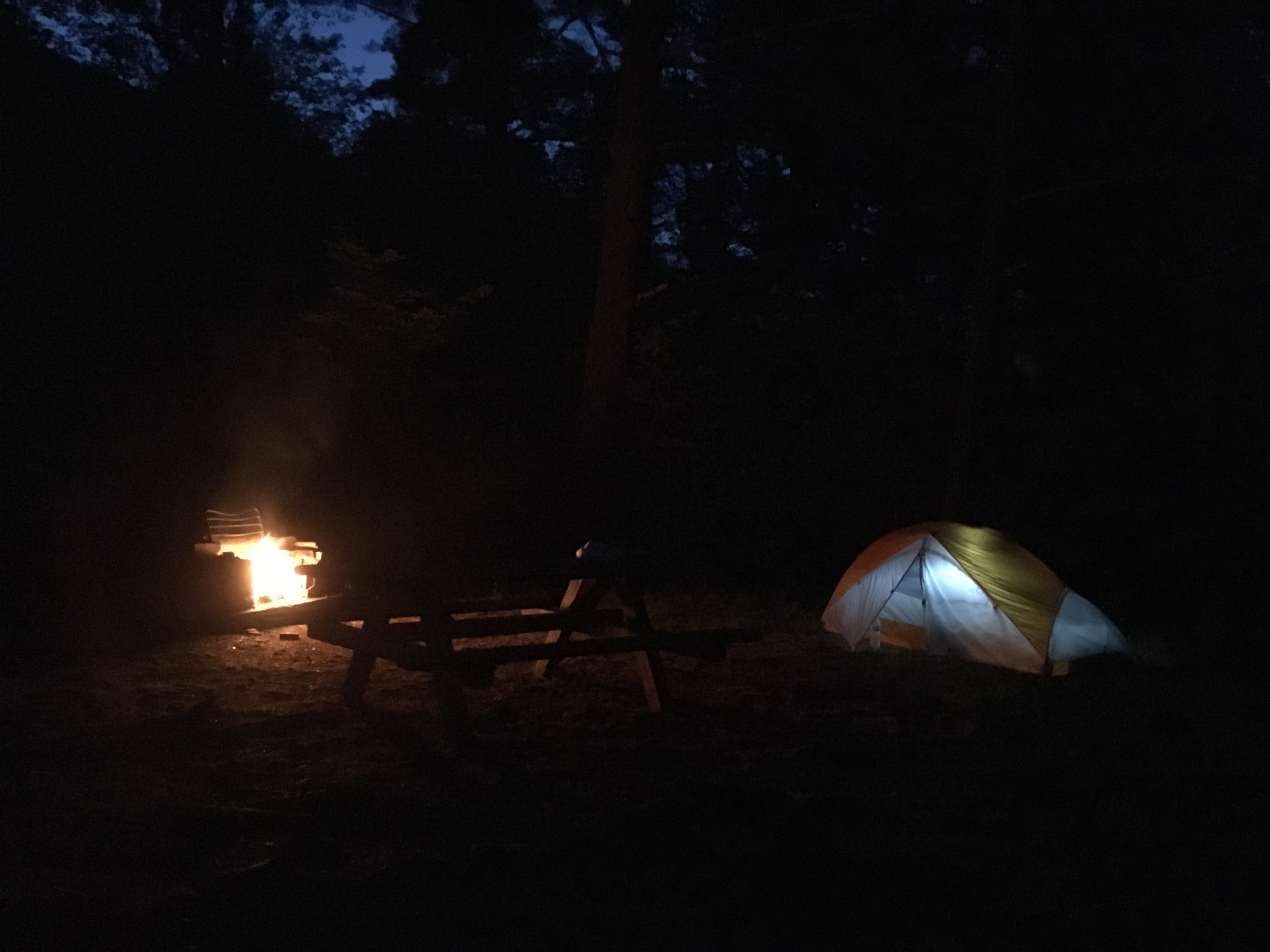 Right before I took this photo, a raccoon tried to steal my cellphone off of that picnic table. Keep your food and devices locked up! 