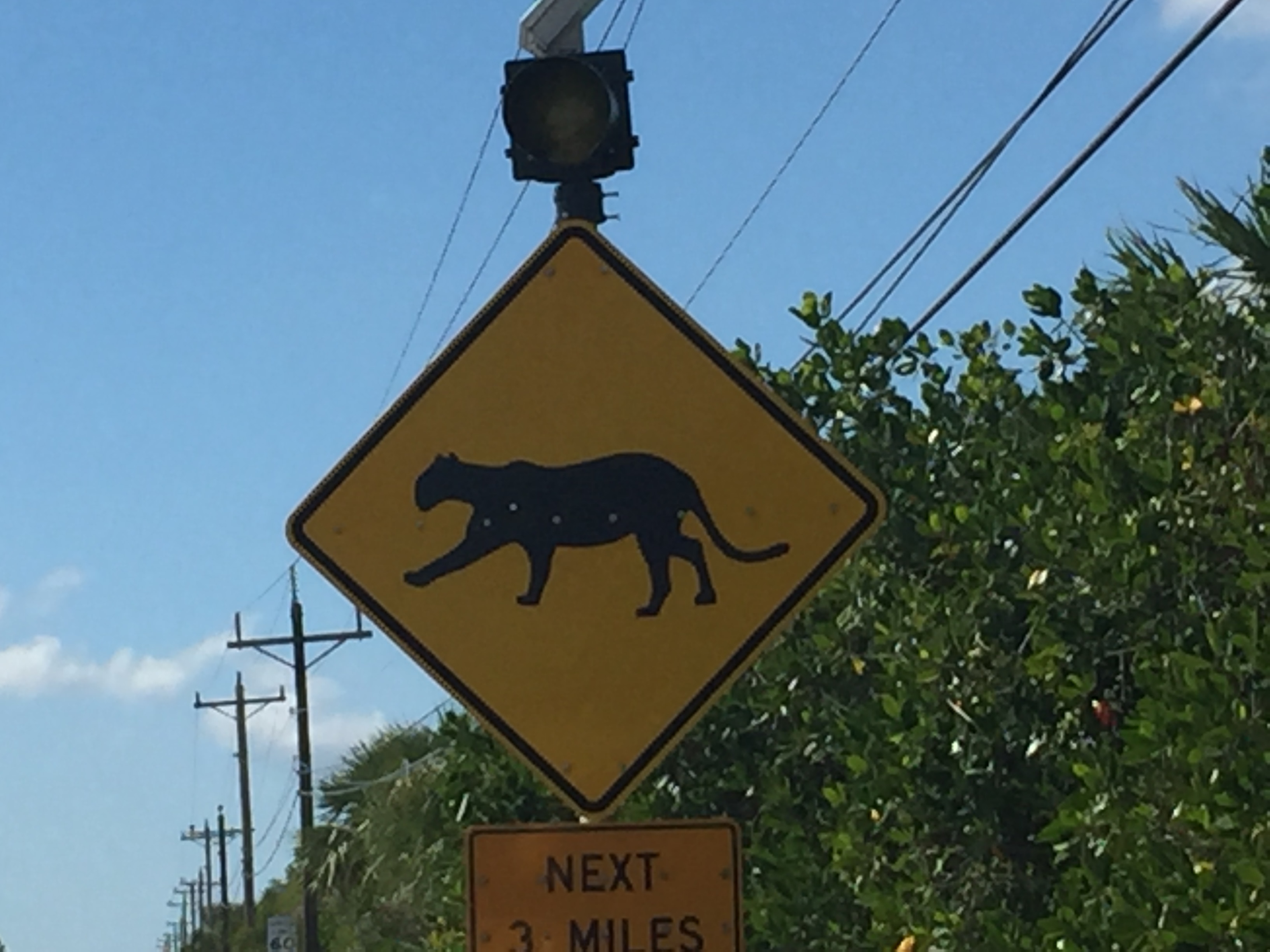 Collier-Seminole State Park