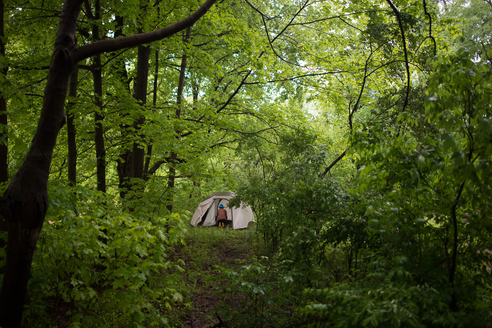 Amidst the flora and fauna.