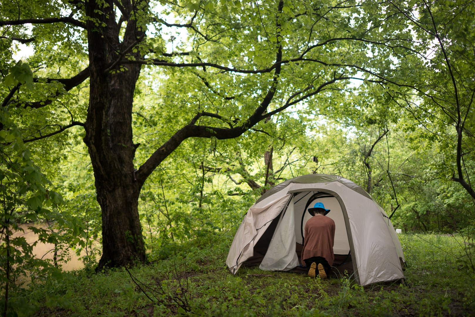15 Acre Wood on Lake