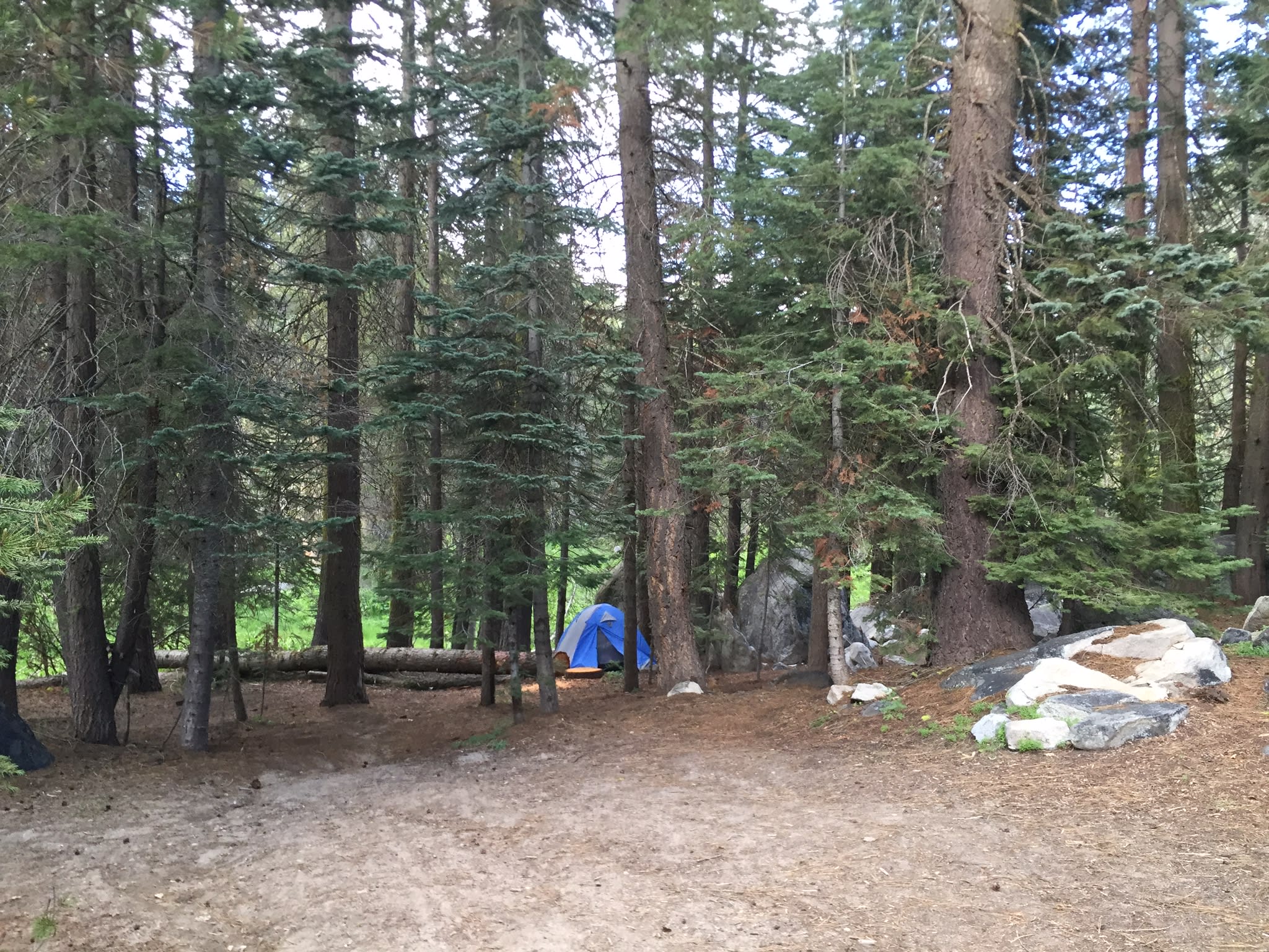 Crane Flat Campground