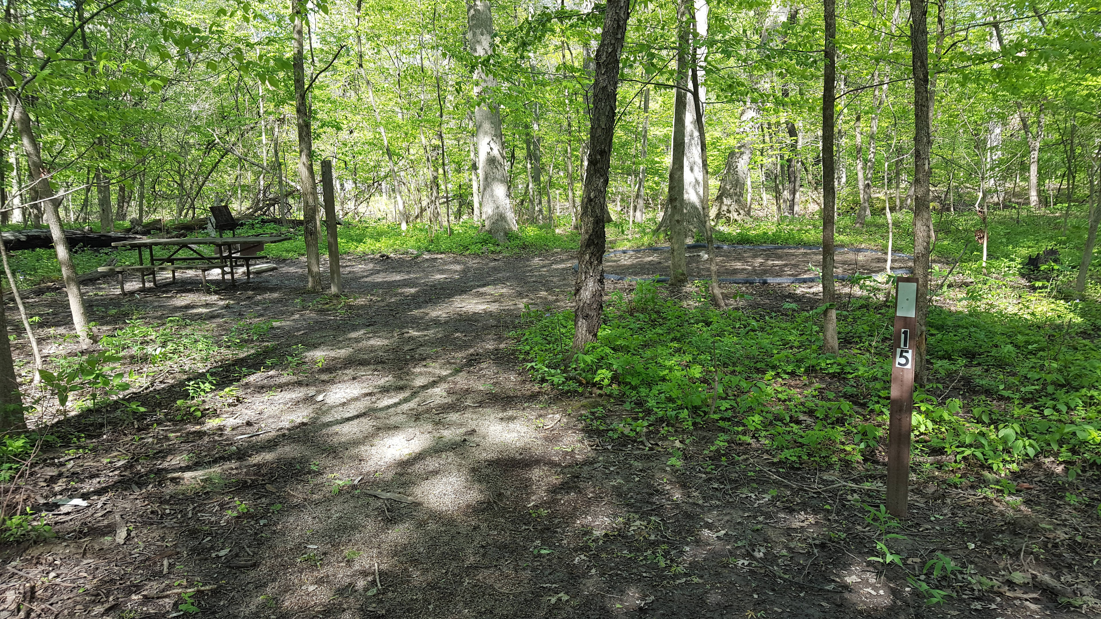 Walnut Point State Park