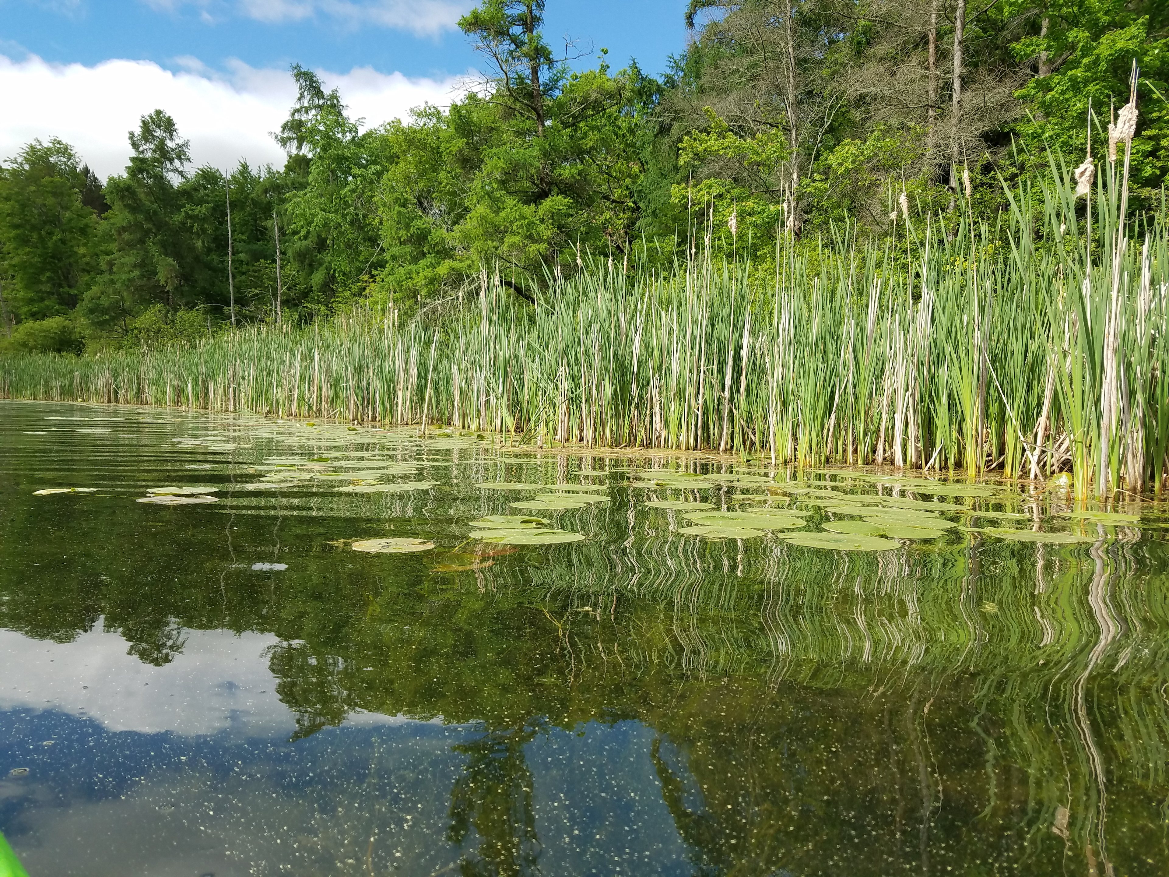 Hartman Creek State Park
