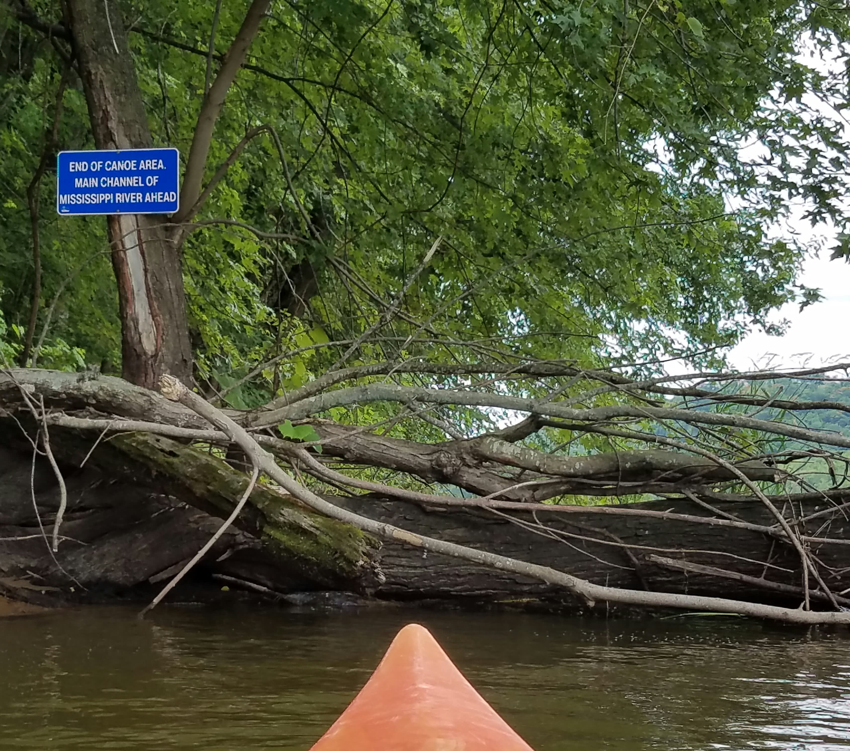 Wisconsin River delta meets the Mississippi.