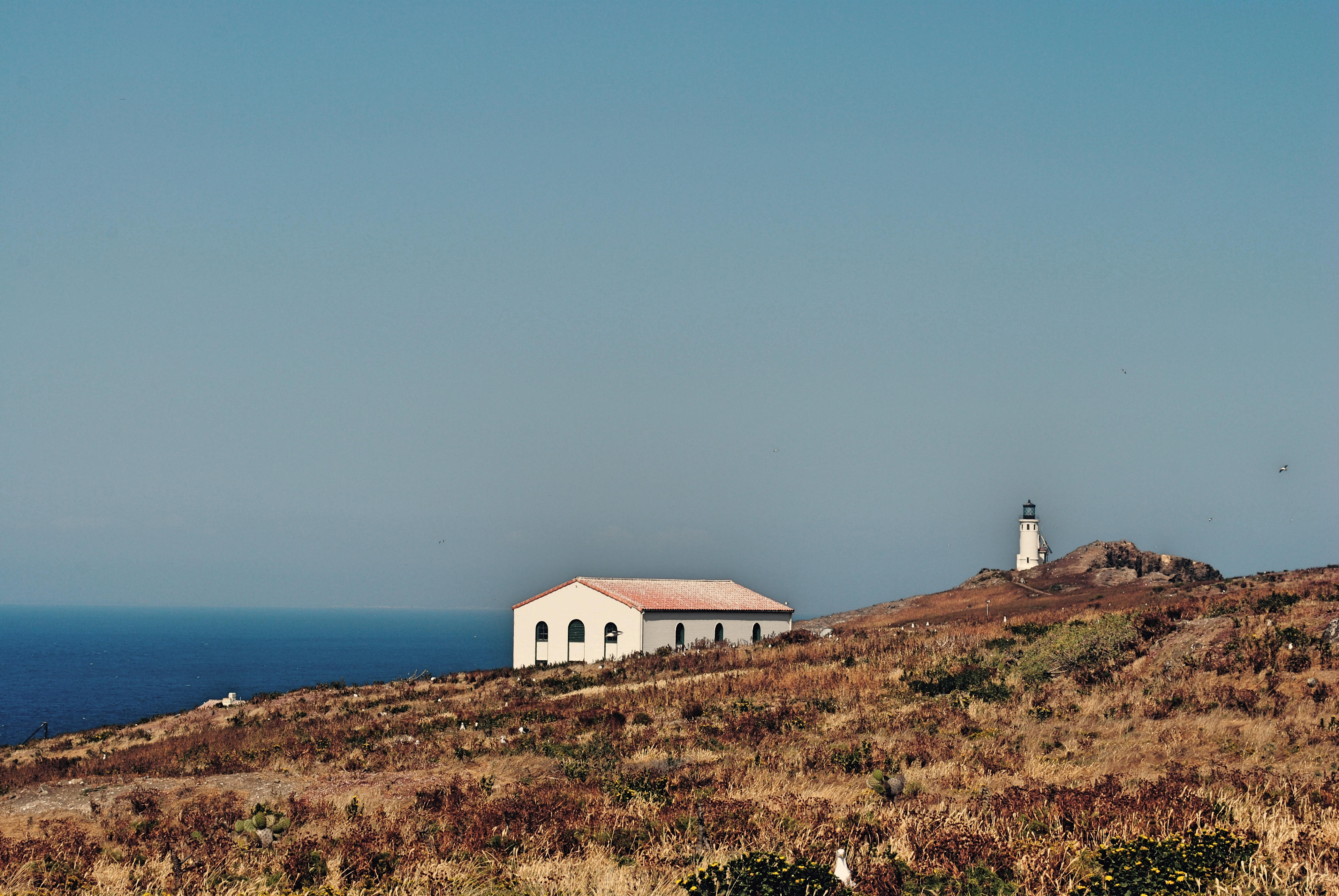The lighthouse and visitors' center.