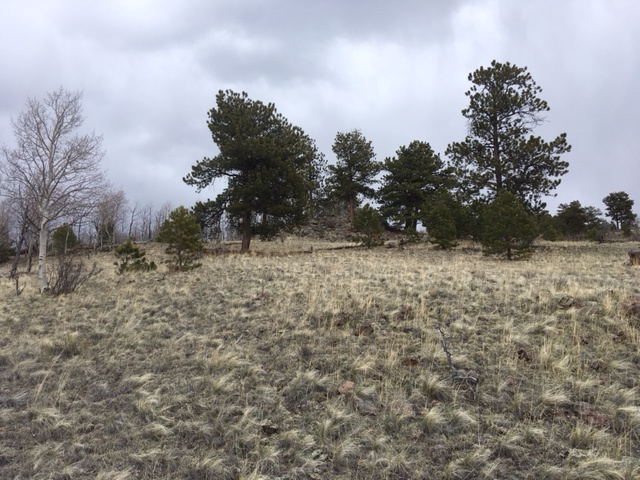 Rocks and trees give this property visual appeal and make for cozy campsites.