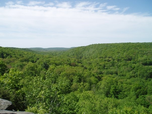 View from the Vista on the Orange Trail