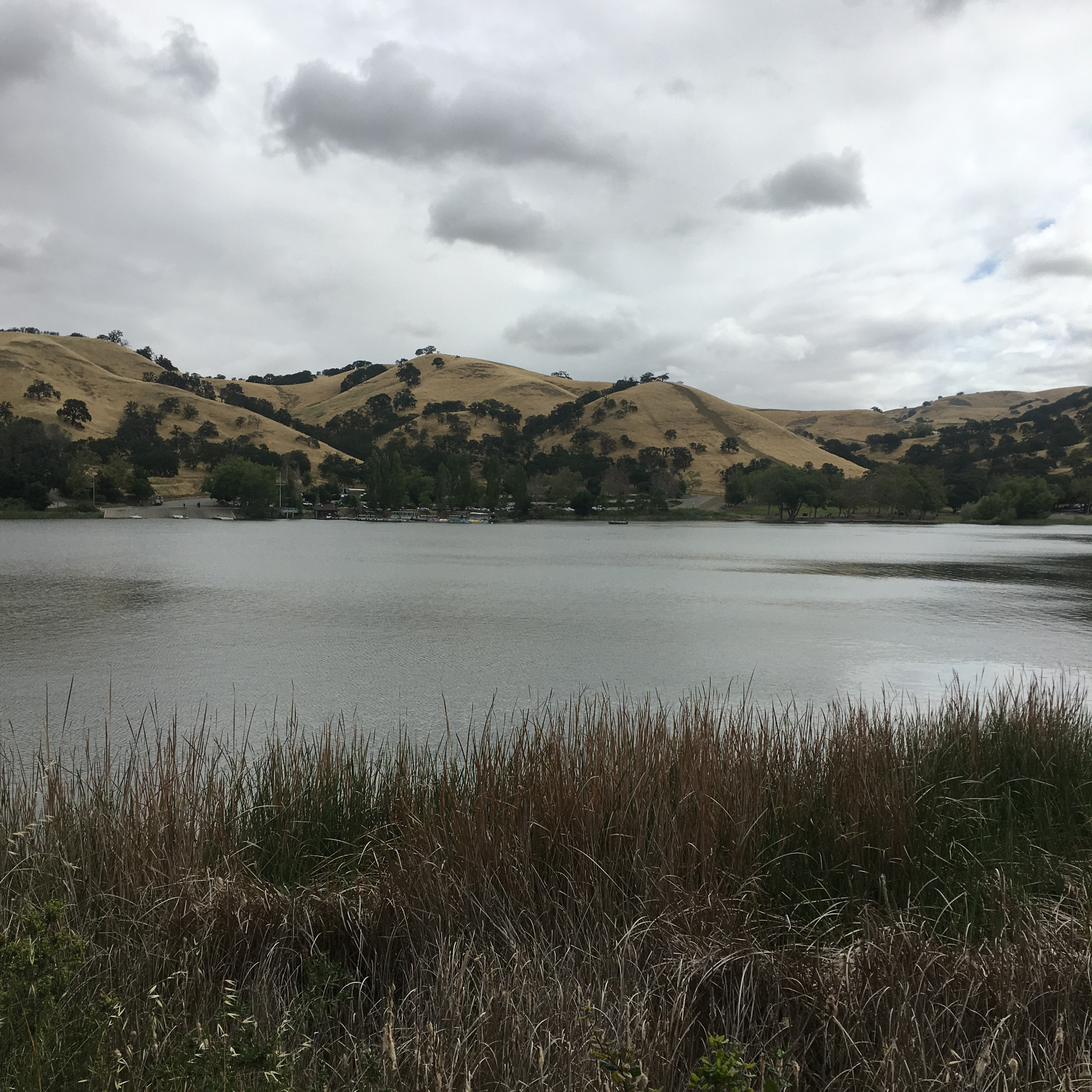 Del Valle Regional Park
