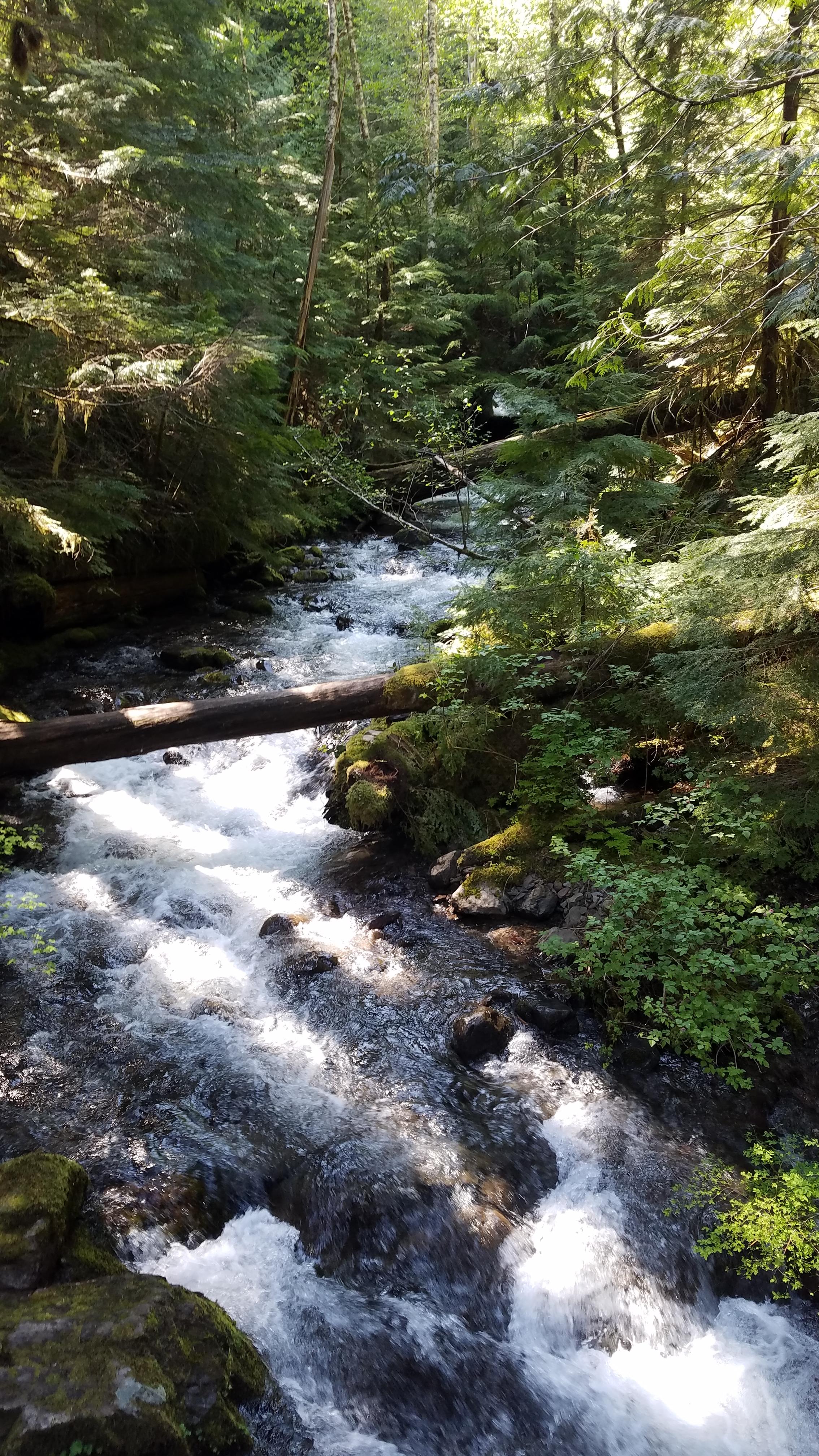 Lower Falls Group Camp